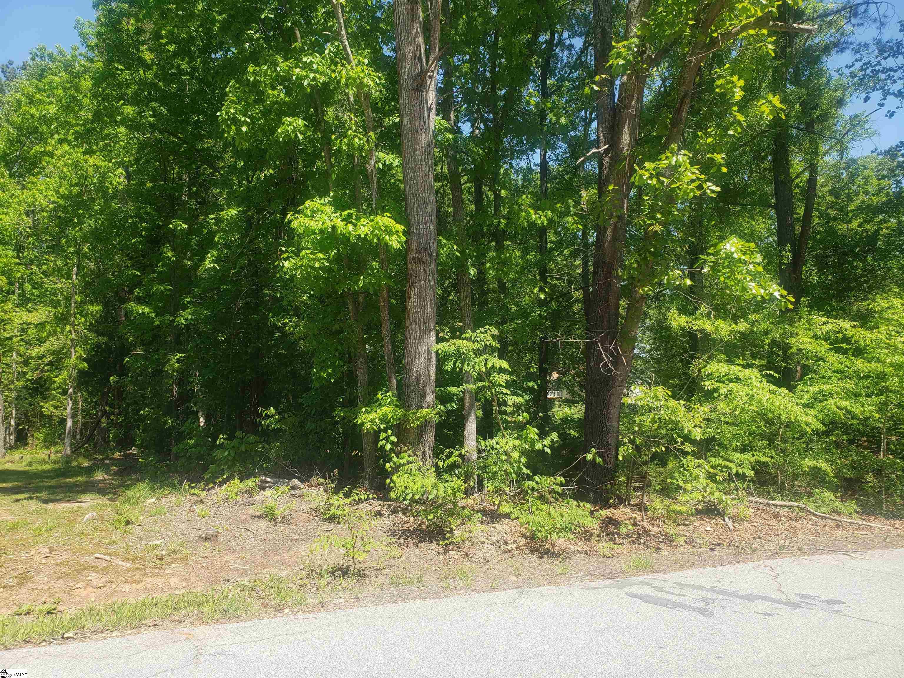Oak Terrace Drive Lot 17, Laurens SC 29360