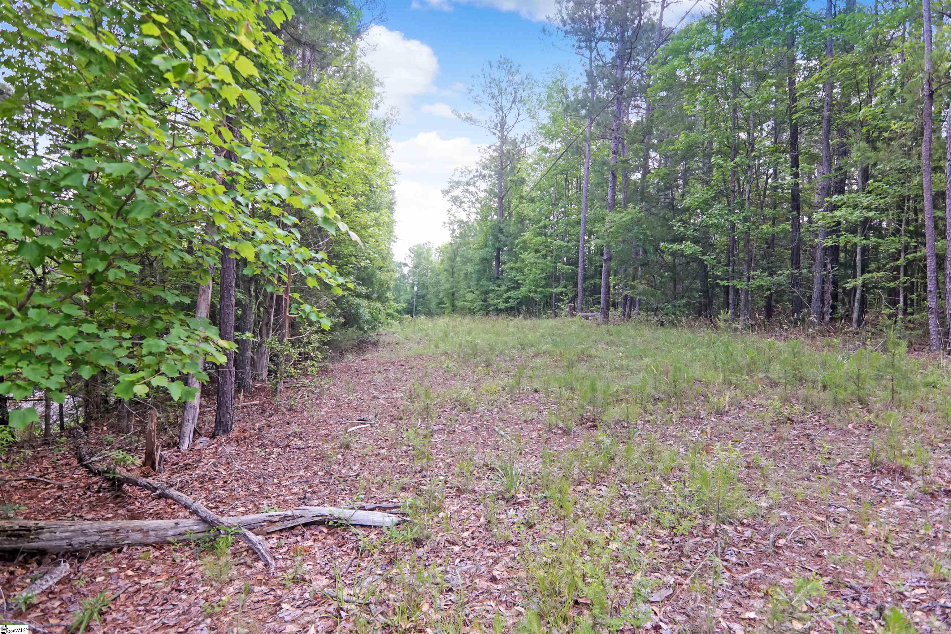 00 Green Acres Rd Extension, Ware Shoals SC 29692