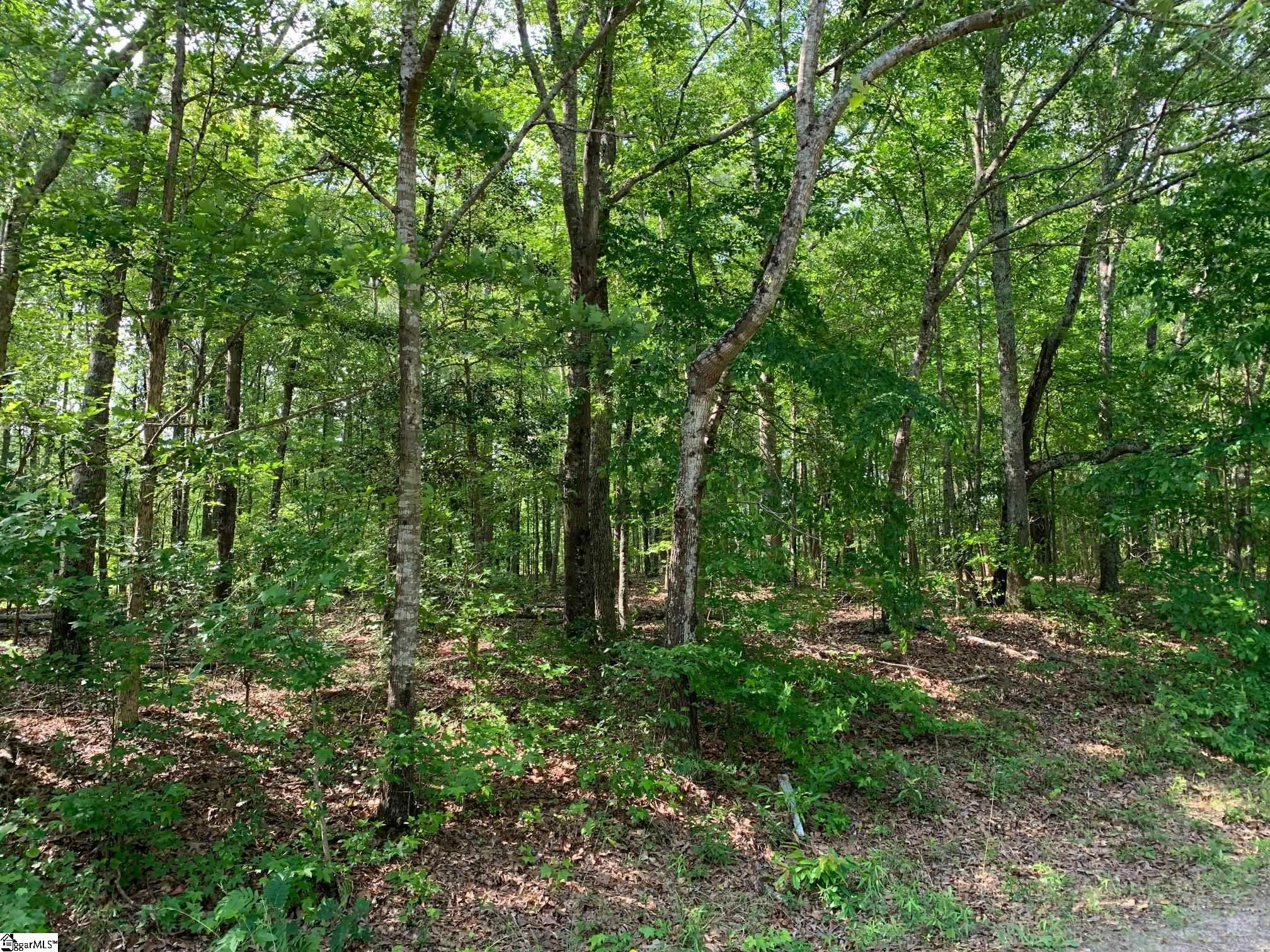 Broken Arrow Drive, Pelzer SC 29669