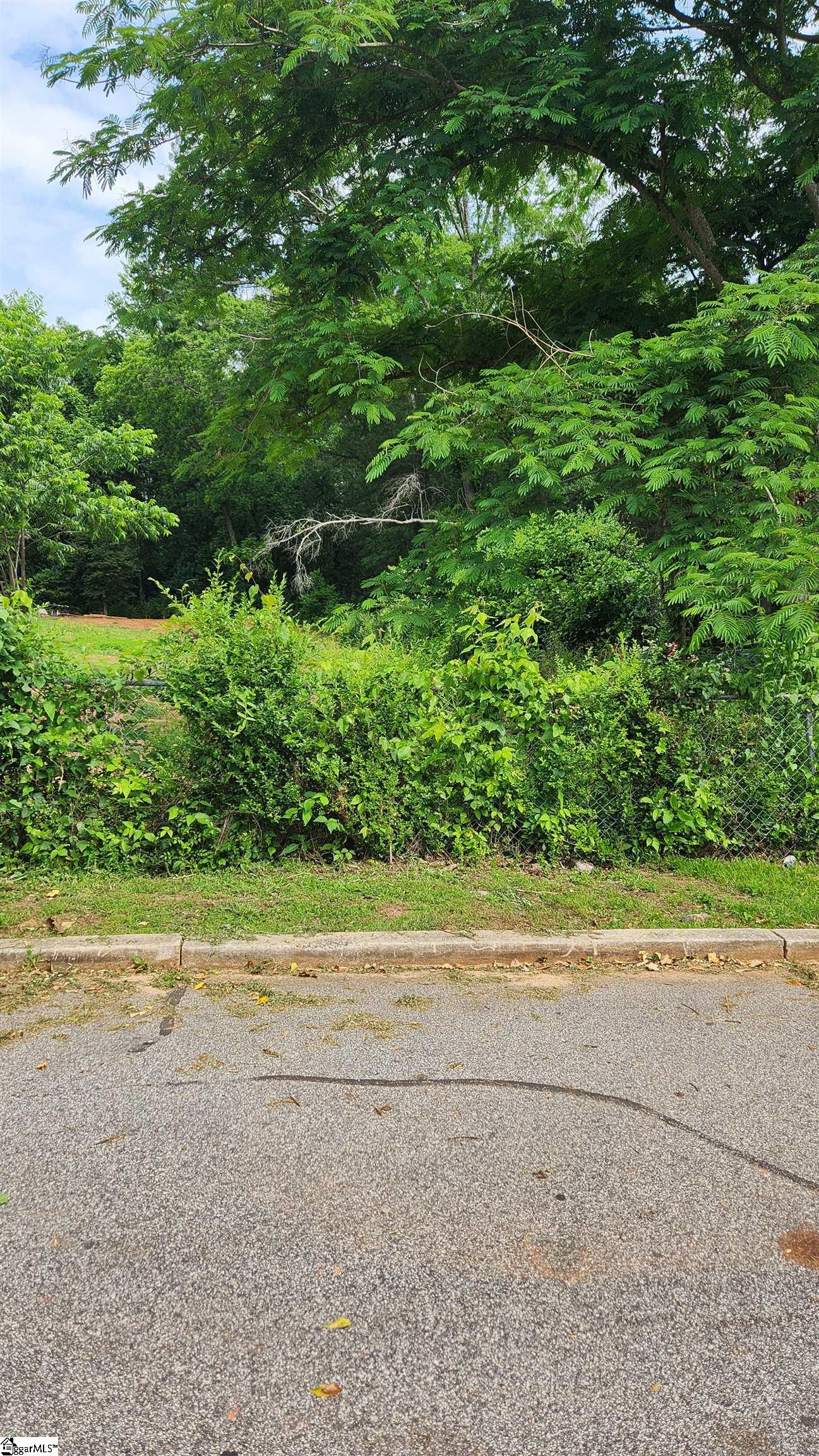 Clemson Street, Laurens SC 29360