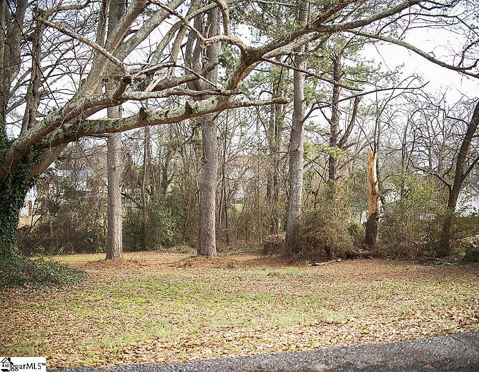 105 Hemphill Street, Greer SC 29650
