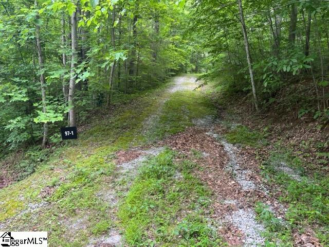 8 Granite Falls Drive, Landrum SC 29356