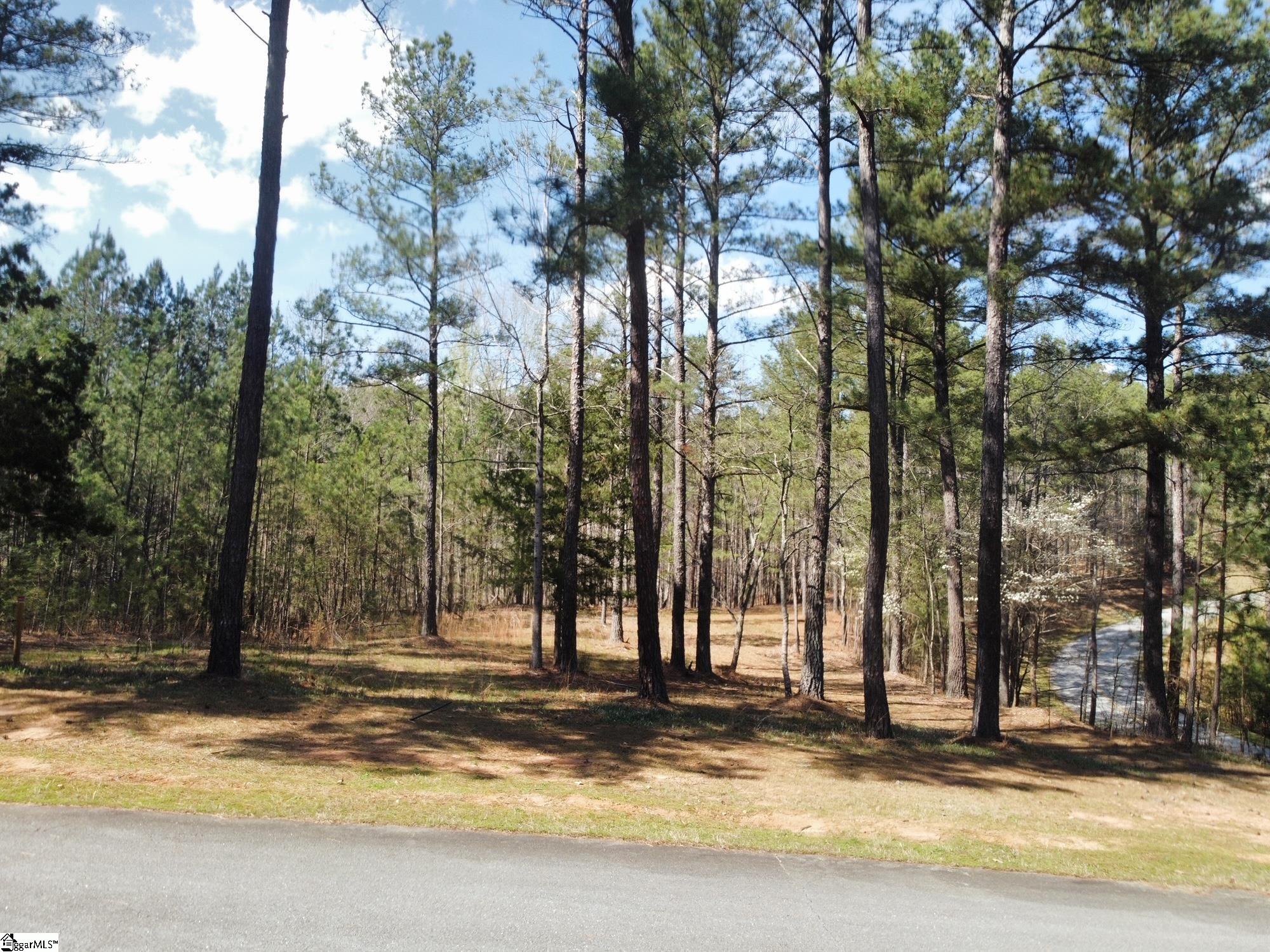 100 Northington Court, Sunset SC 29685