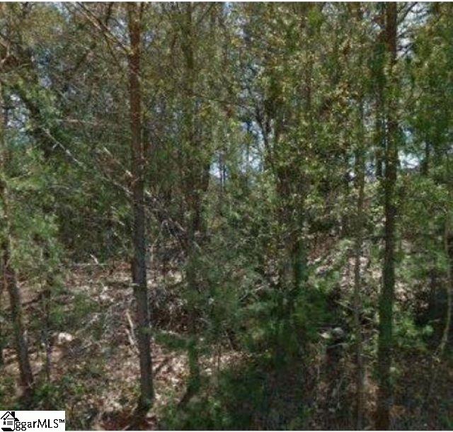 301 Plantation Pointe, Anderson SC 29625