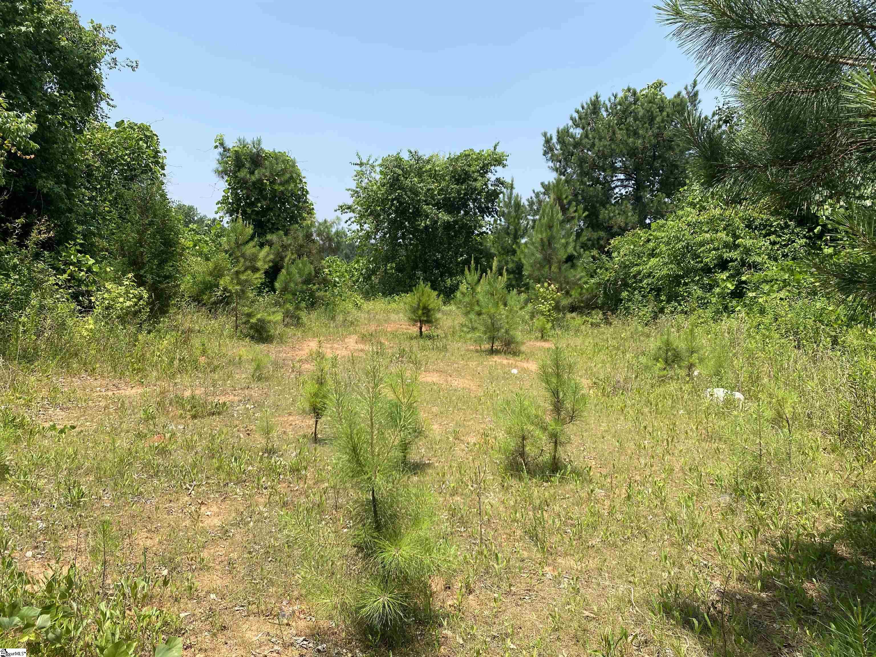 515 Crossgate Way, Fountain Inn SC 29644