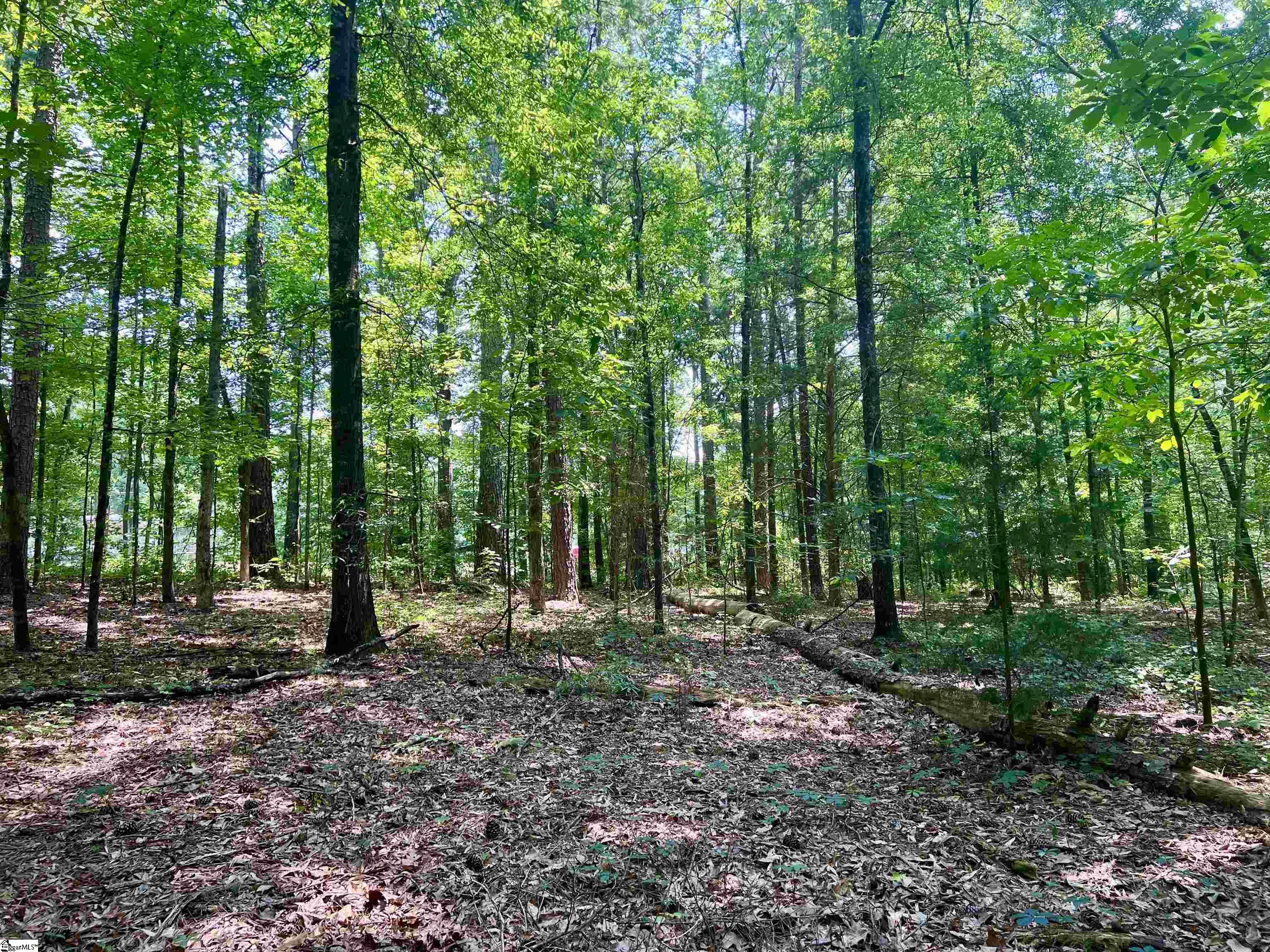 00 Rest Road, Waterloo SC 29384