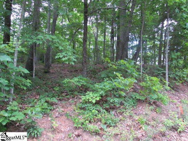 00 Caledonia Road, Landrum SC 29356
