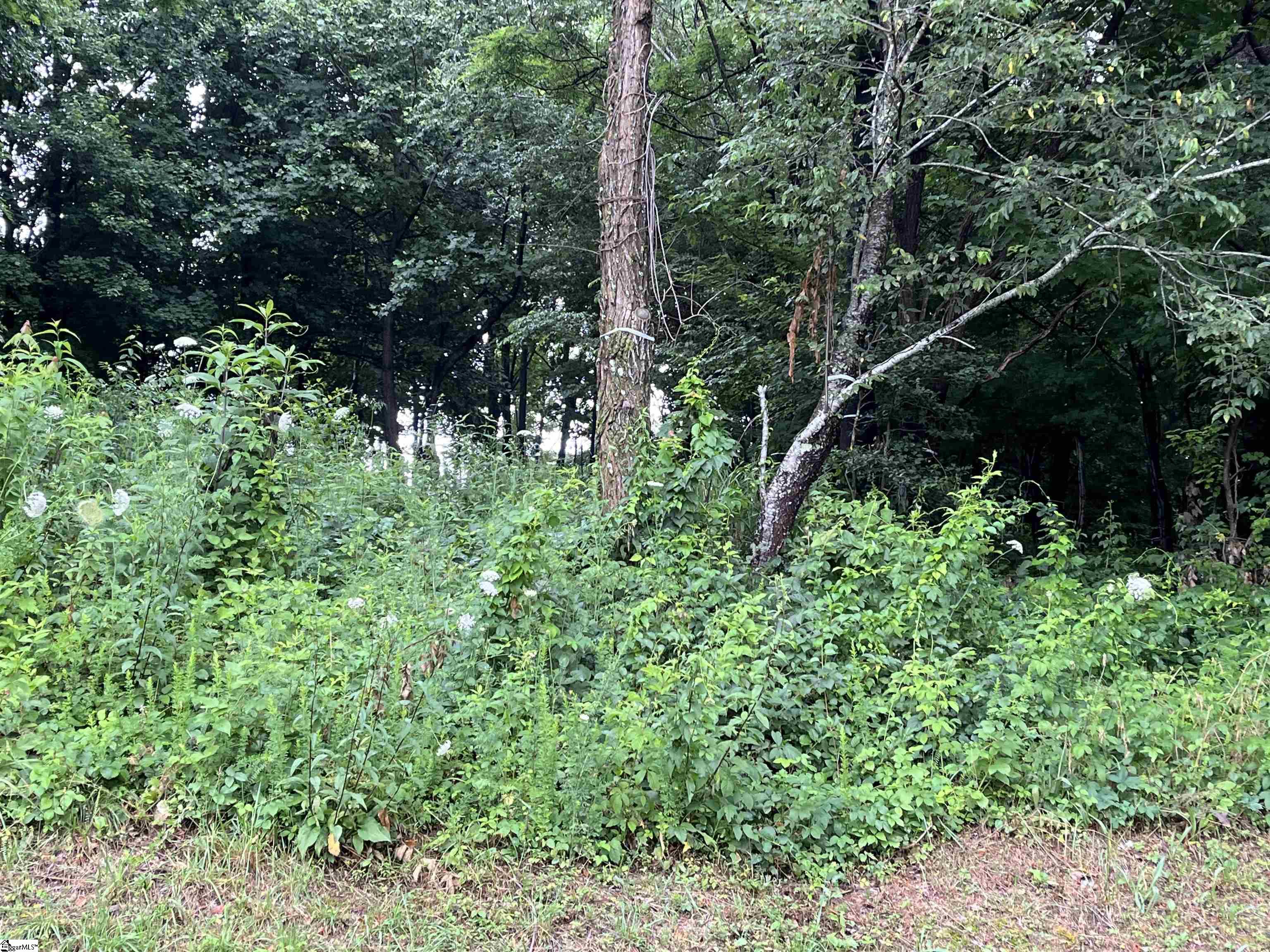 280 Foggy Cut, Landrum, South Carolina image 2