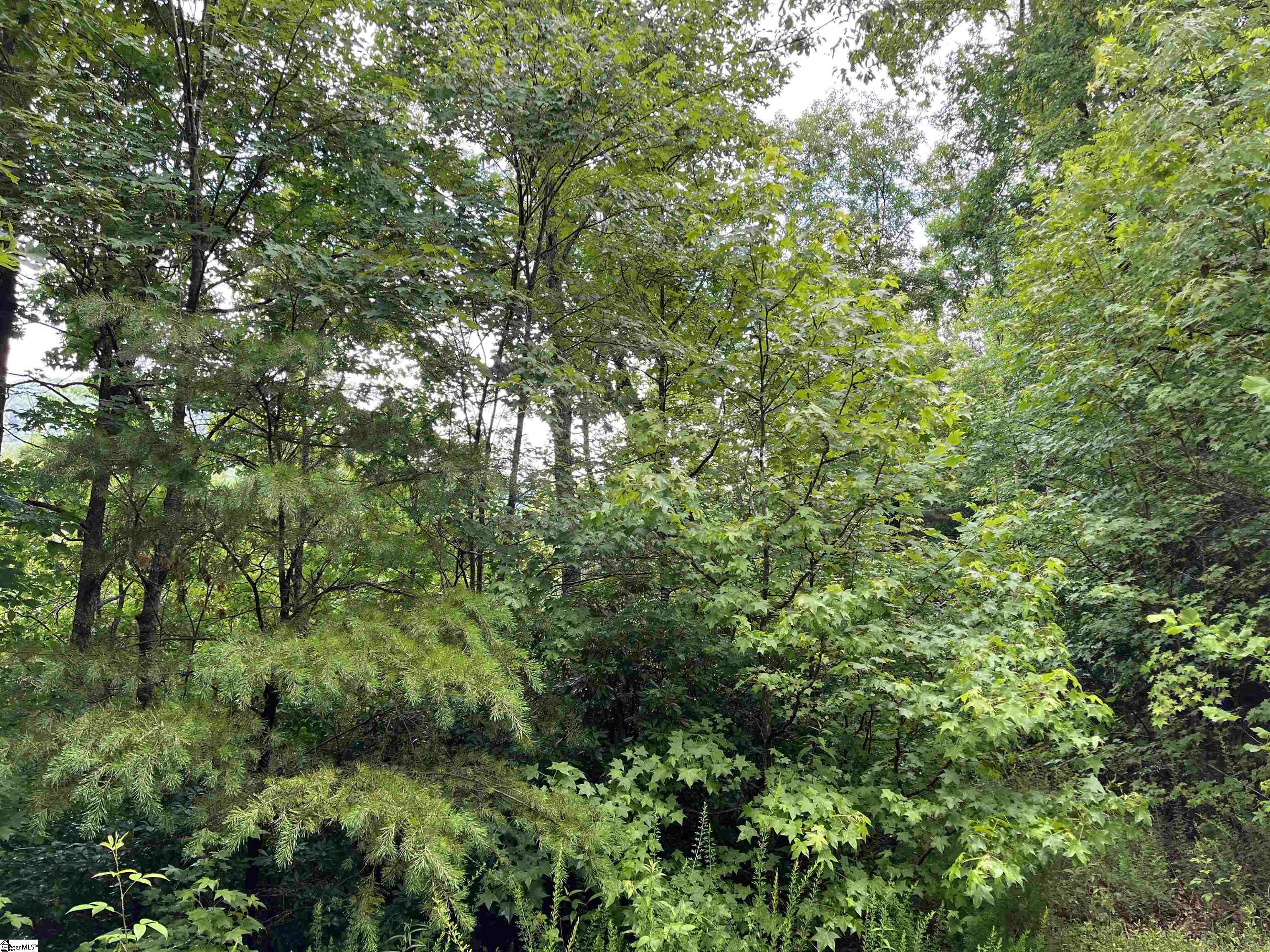280 Foggy Cut, Landrum, South Carolina image 3
