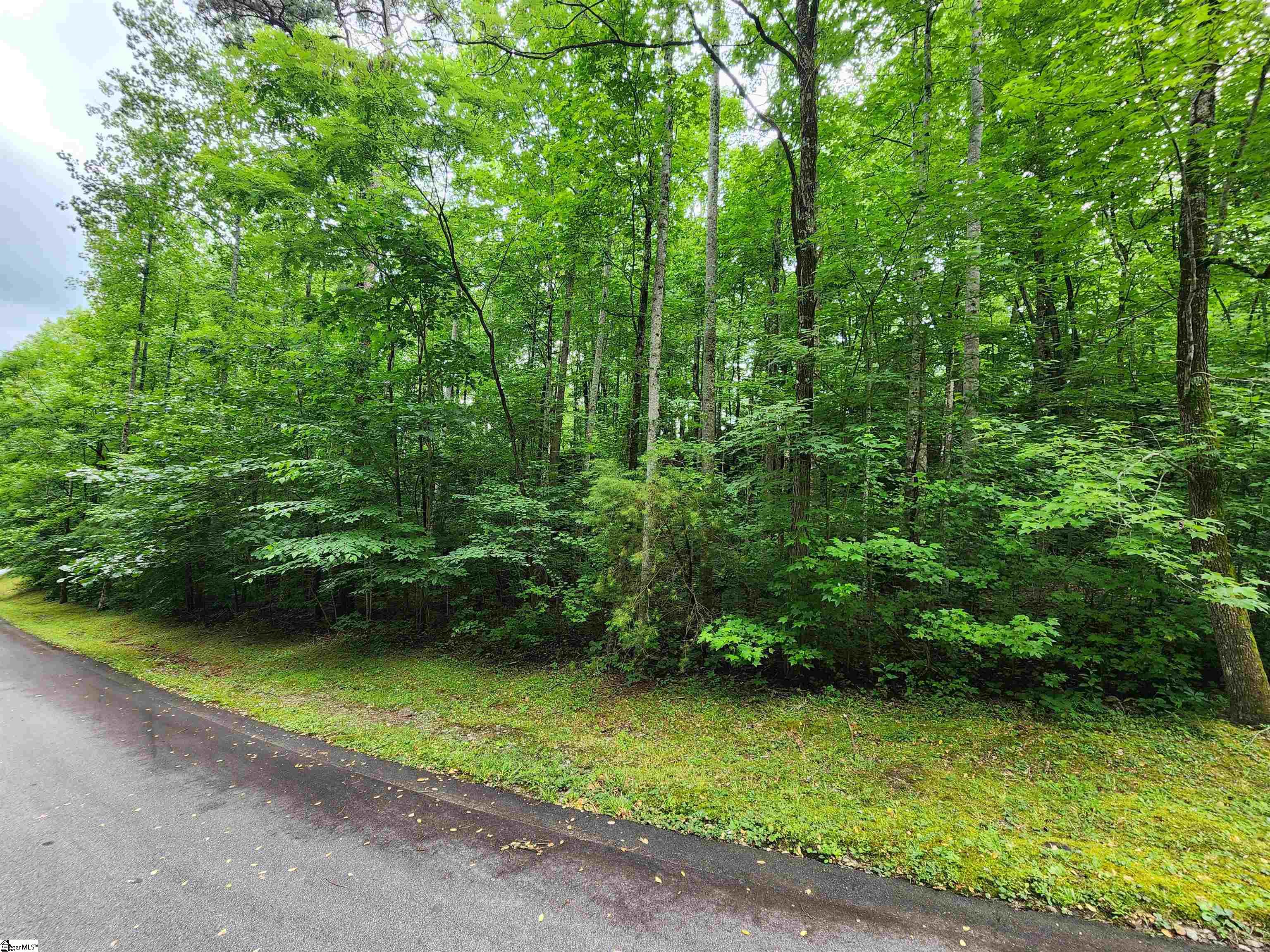 201 Cottage Side Trail, Travelers Rest SC 29690