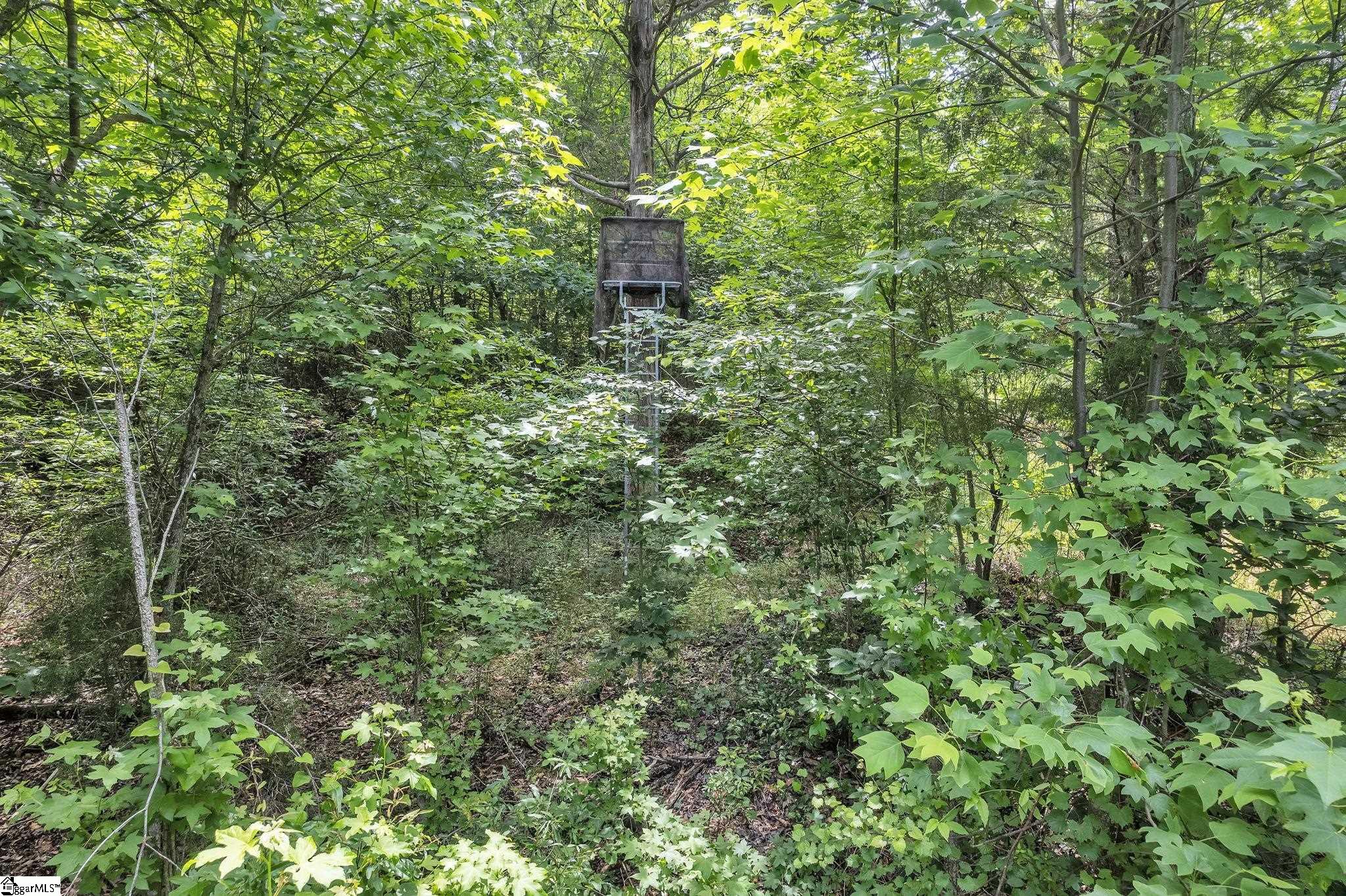 632 Cooks Bridge Road Fountain Inn, SC 29644