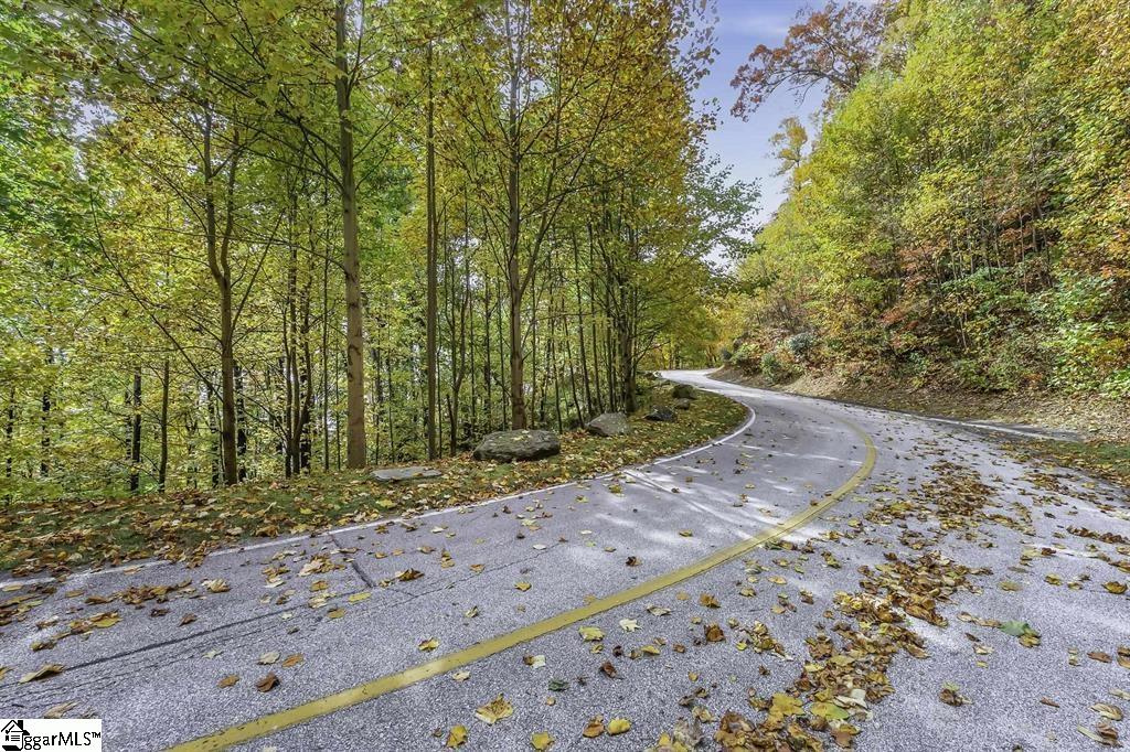 1355 Panther Park Trail, Travelers Rest SC 29690