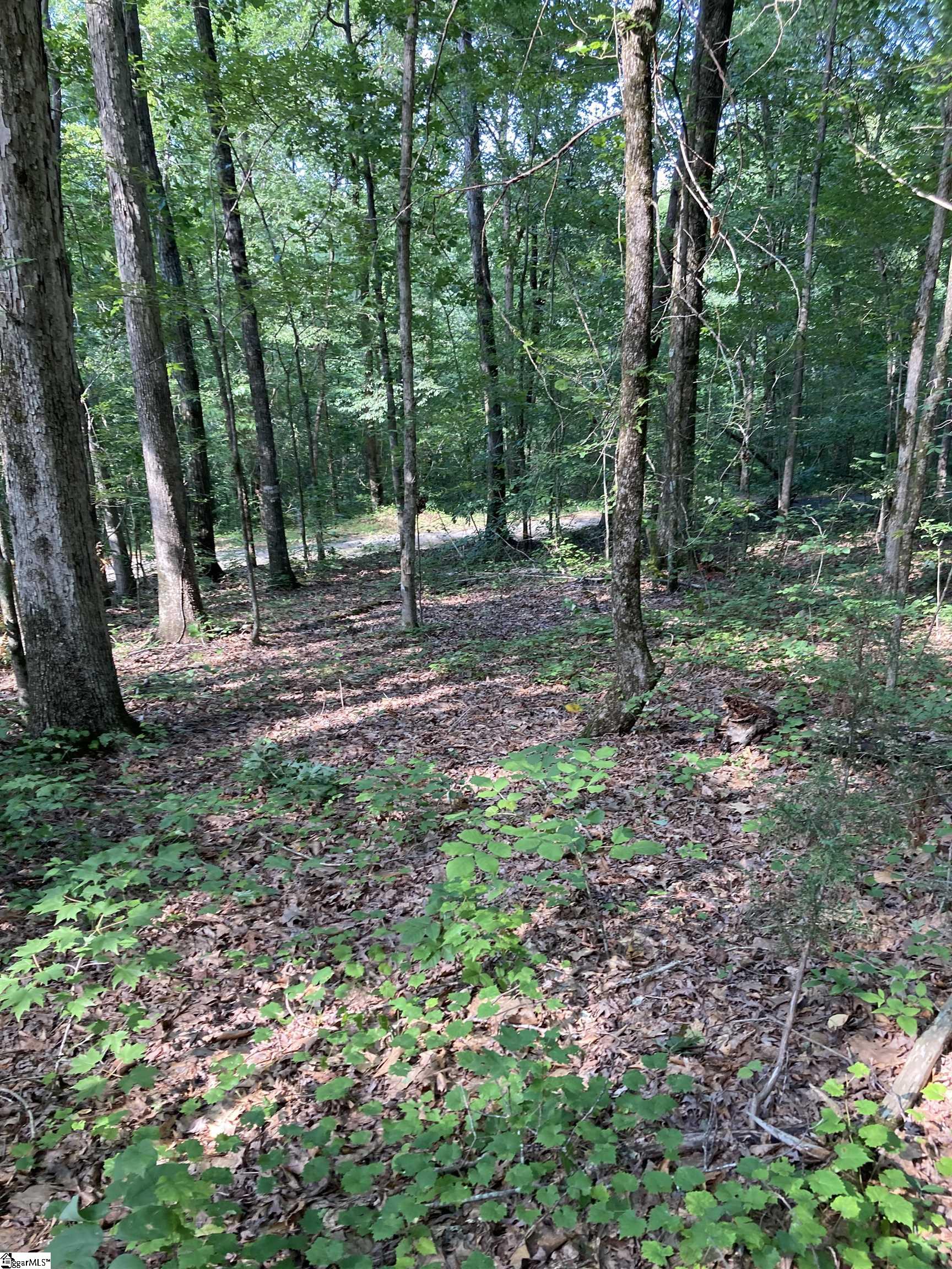 Ramblewood Drive, Westminster SC 29693