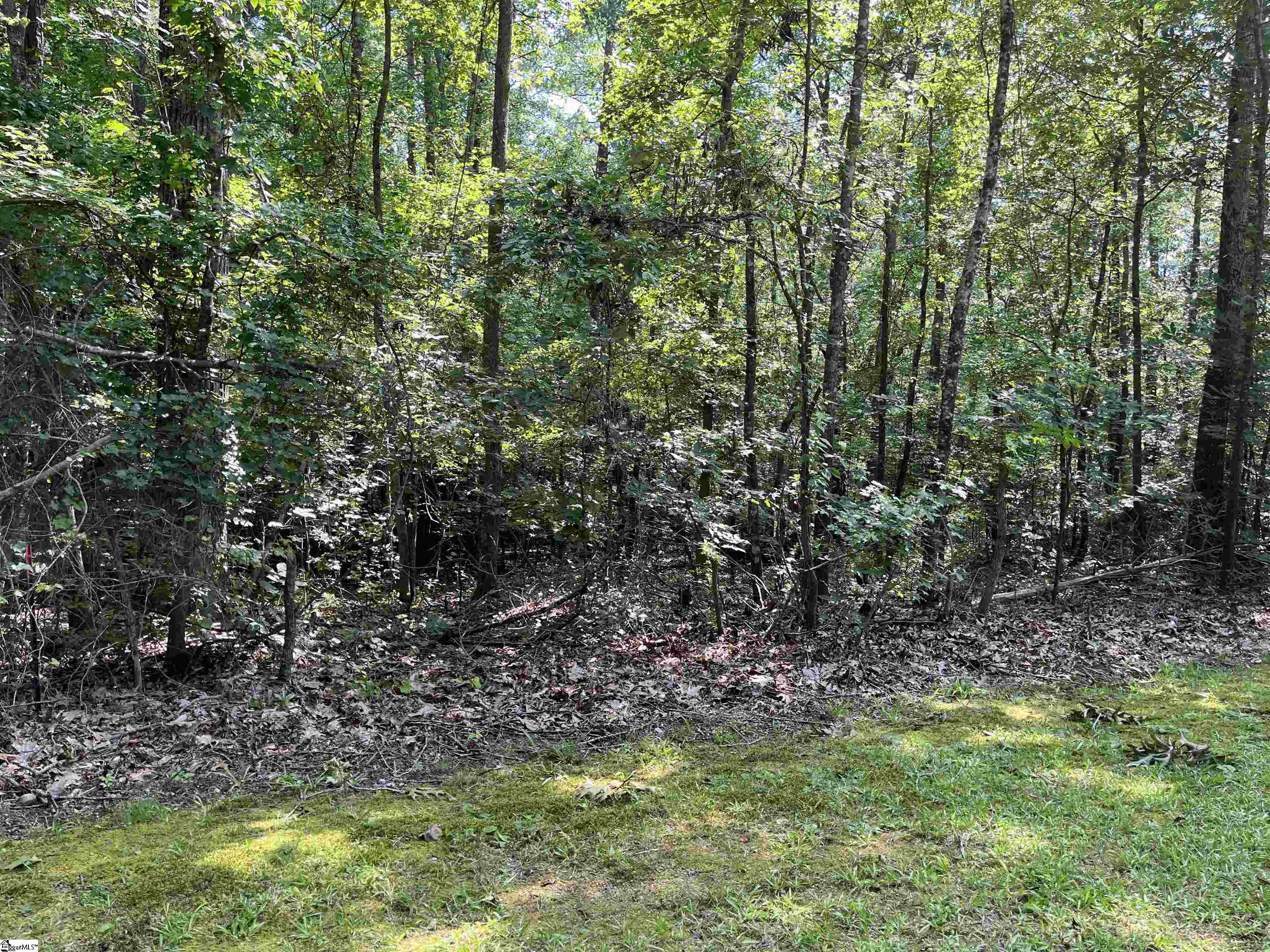 03 Creekfield Road, Clinton SC 29325