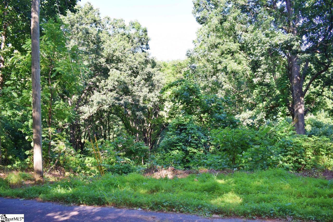 Payne Street Tryon, SC 28782