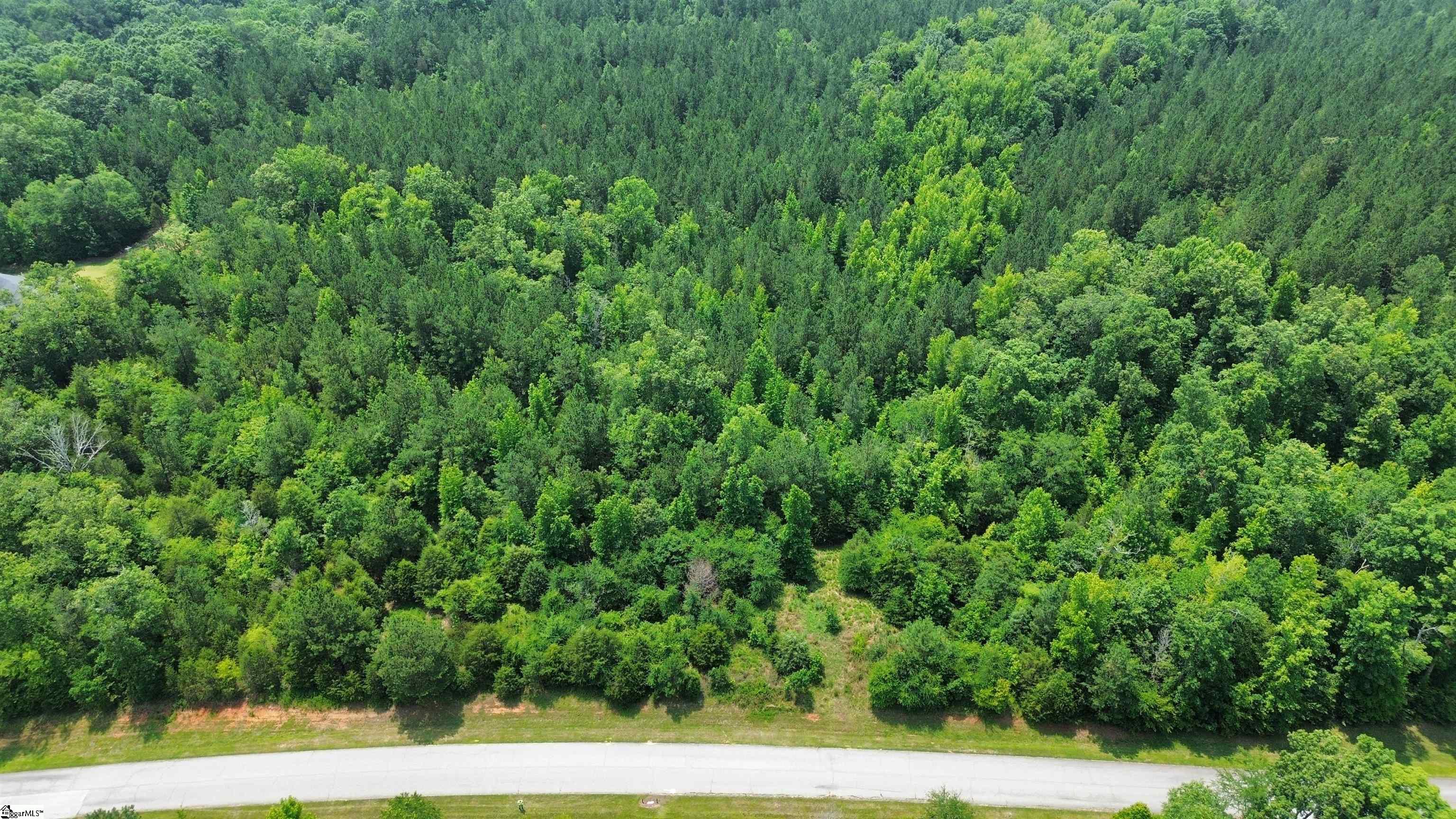 00 Terrapin Pointe, Hodges SC 29653