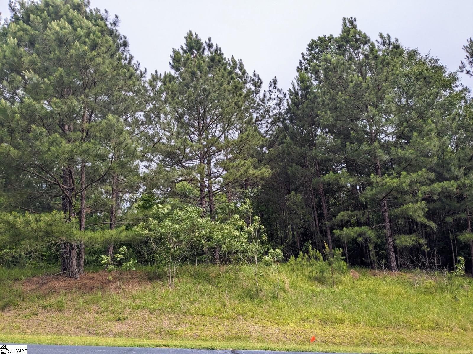 312 Watersedge Drive, Cross Hill SC 29332