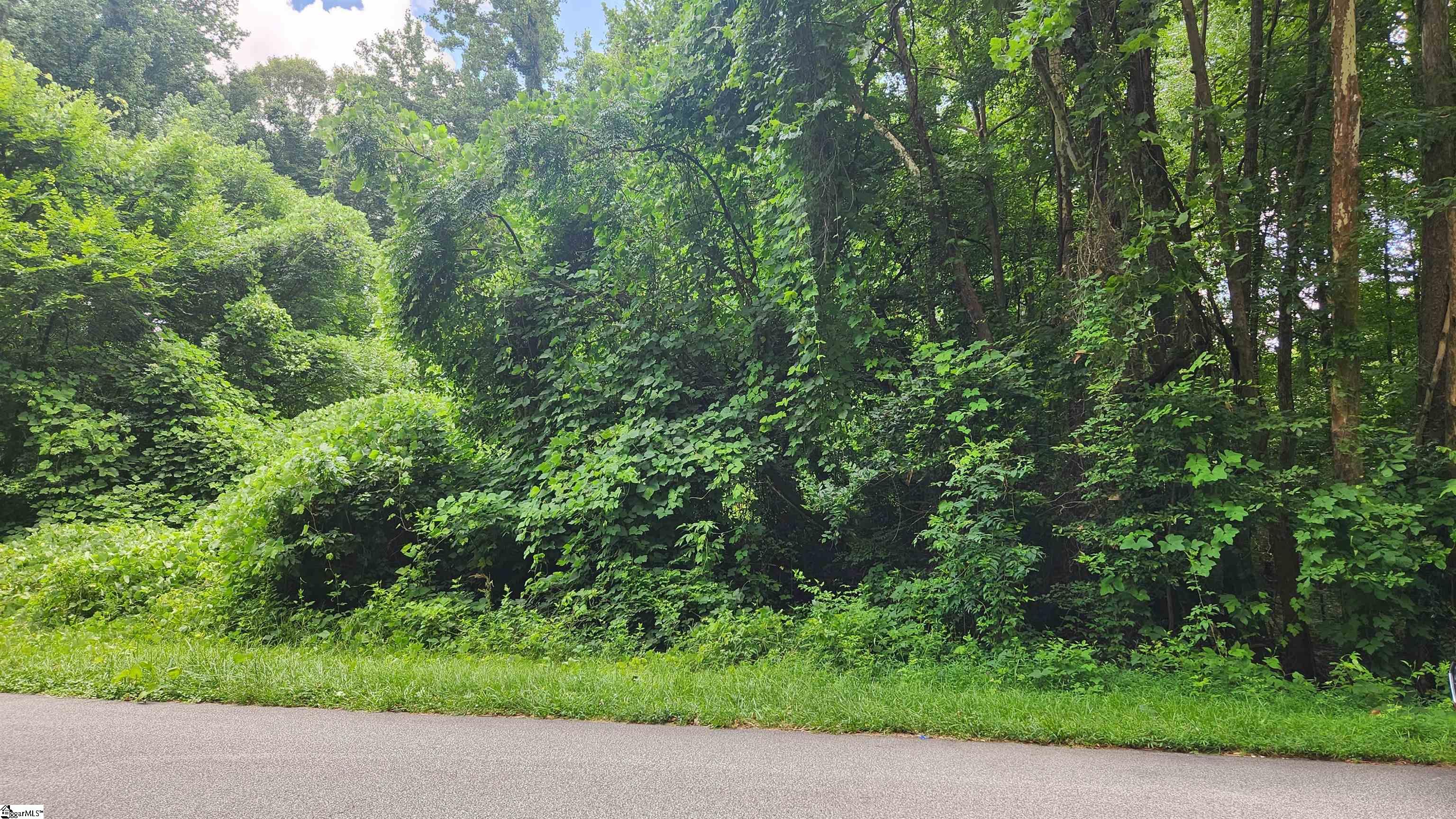 Evelyn Street, Laurens SC 29360