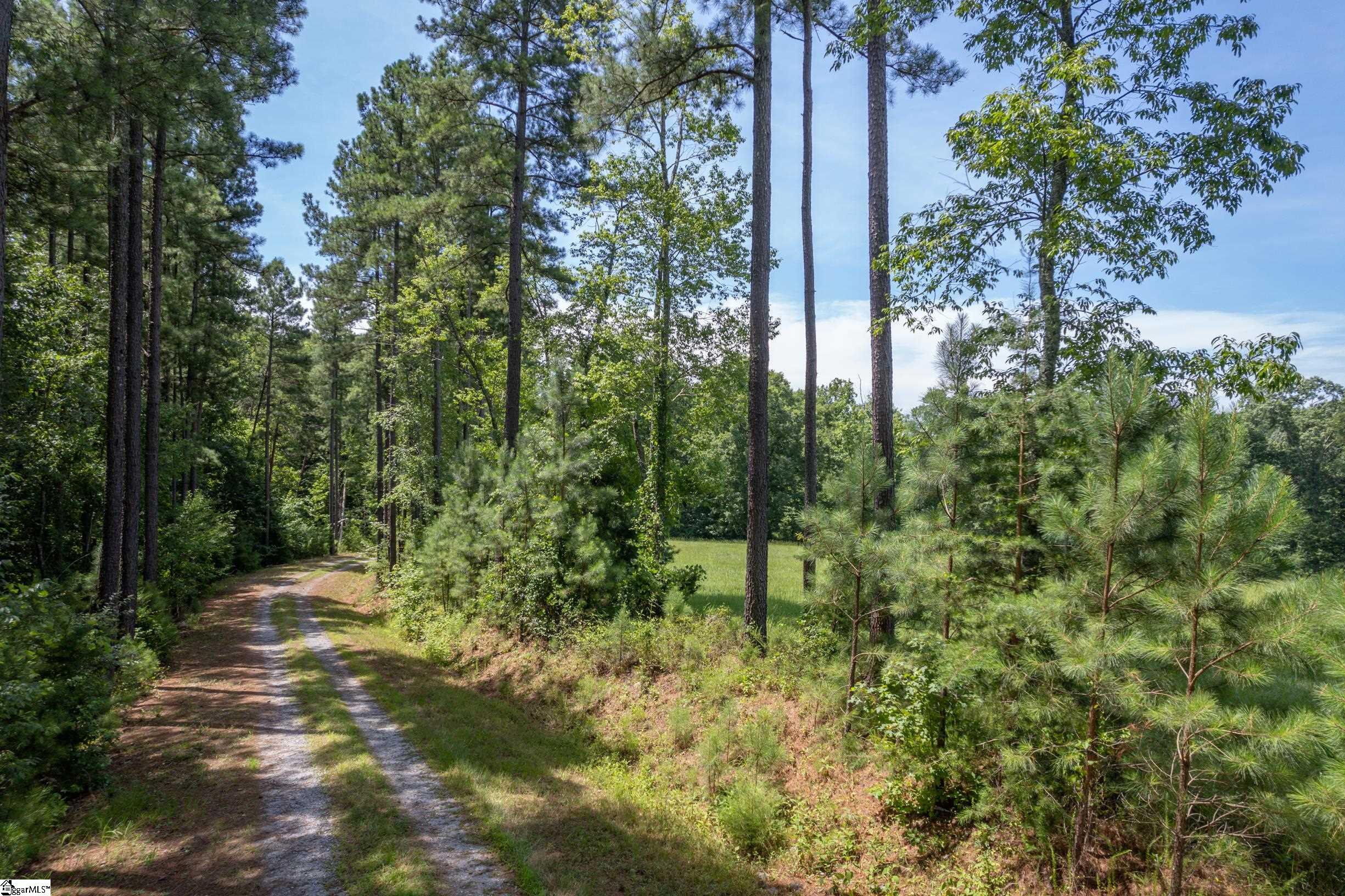 00 Jackson Grove, Columbus, North Carolina image 8