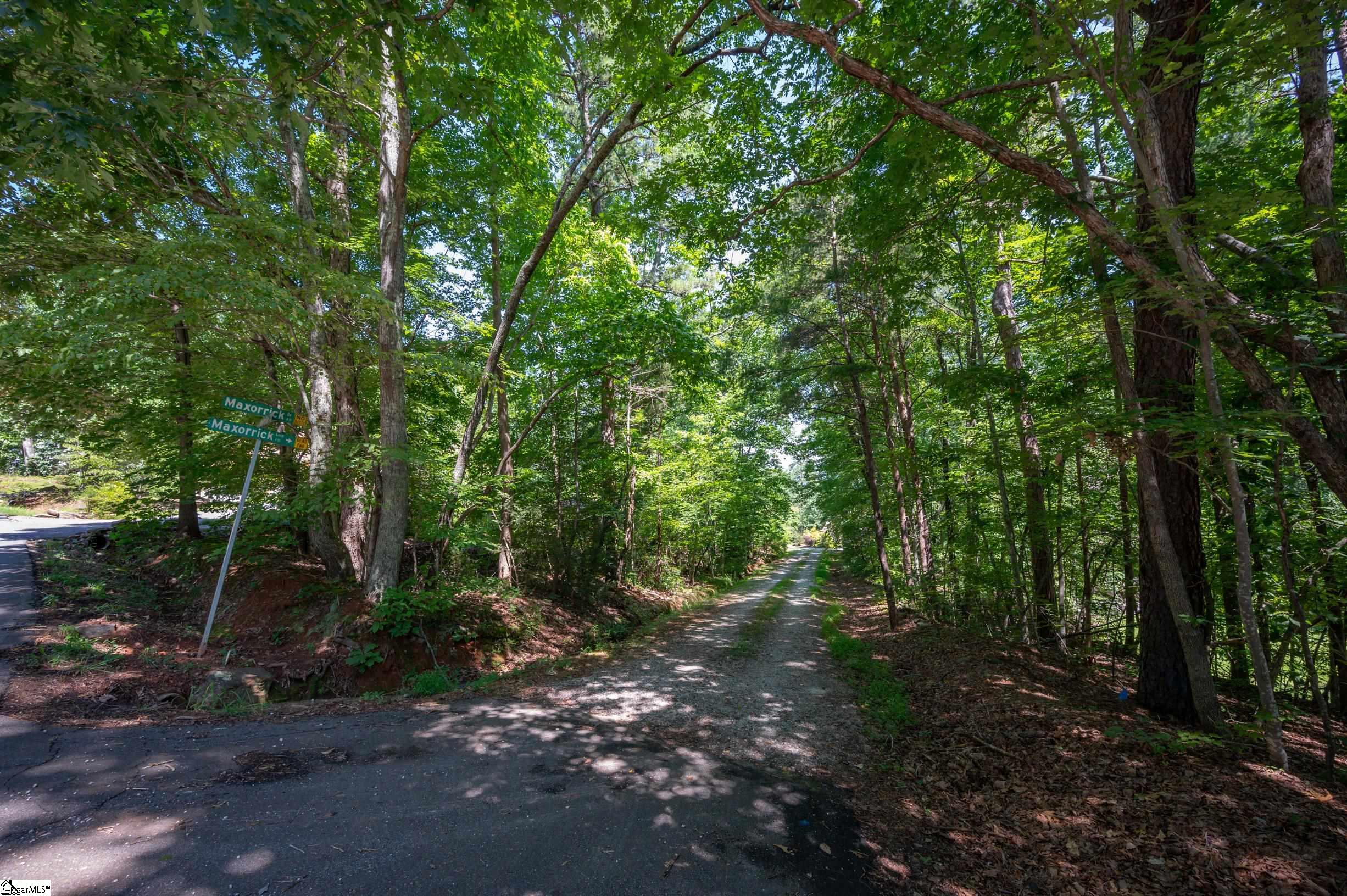 00 Maxorrick Loop, Landrum SC 29356