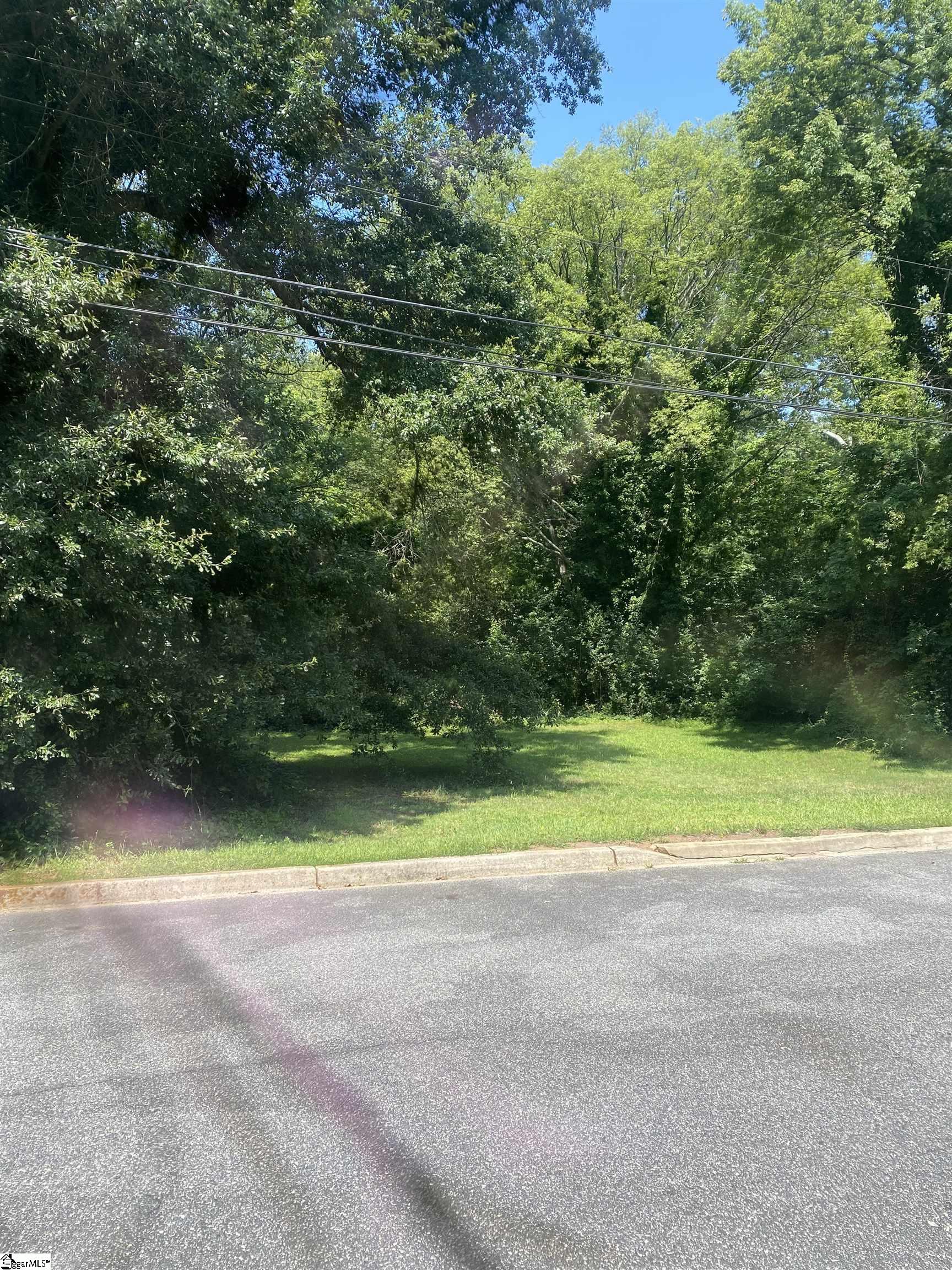 207 Cagle Street, Greenville SC 29601