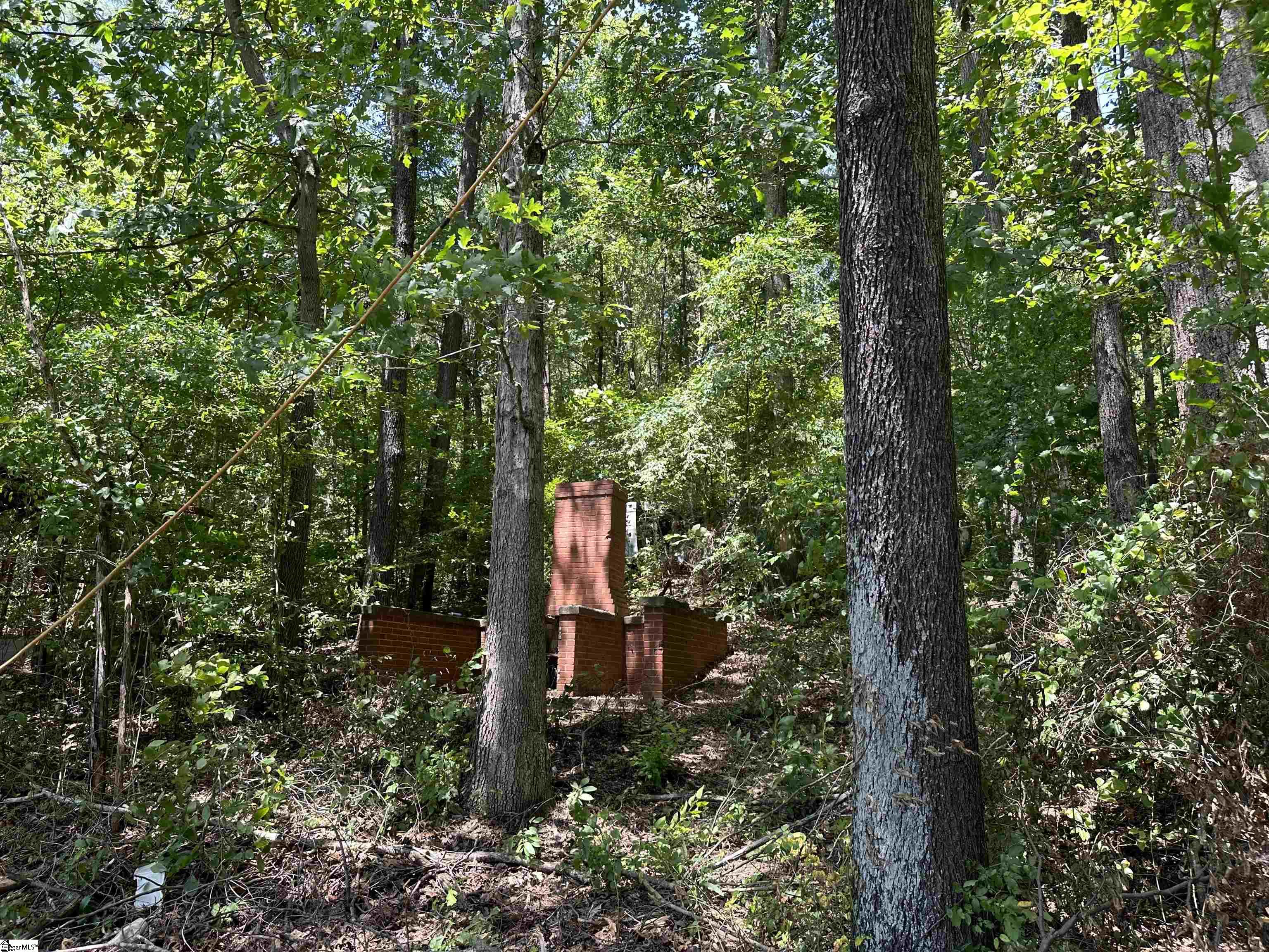 0 Berry Shoals Road, Duncan SC 29334