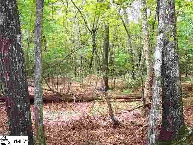 Tract 35 Curts Way, Cleveland SC 29635