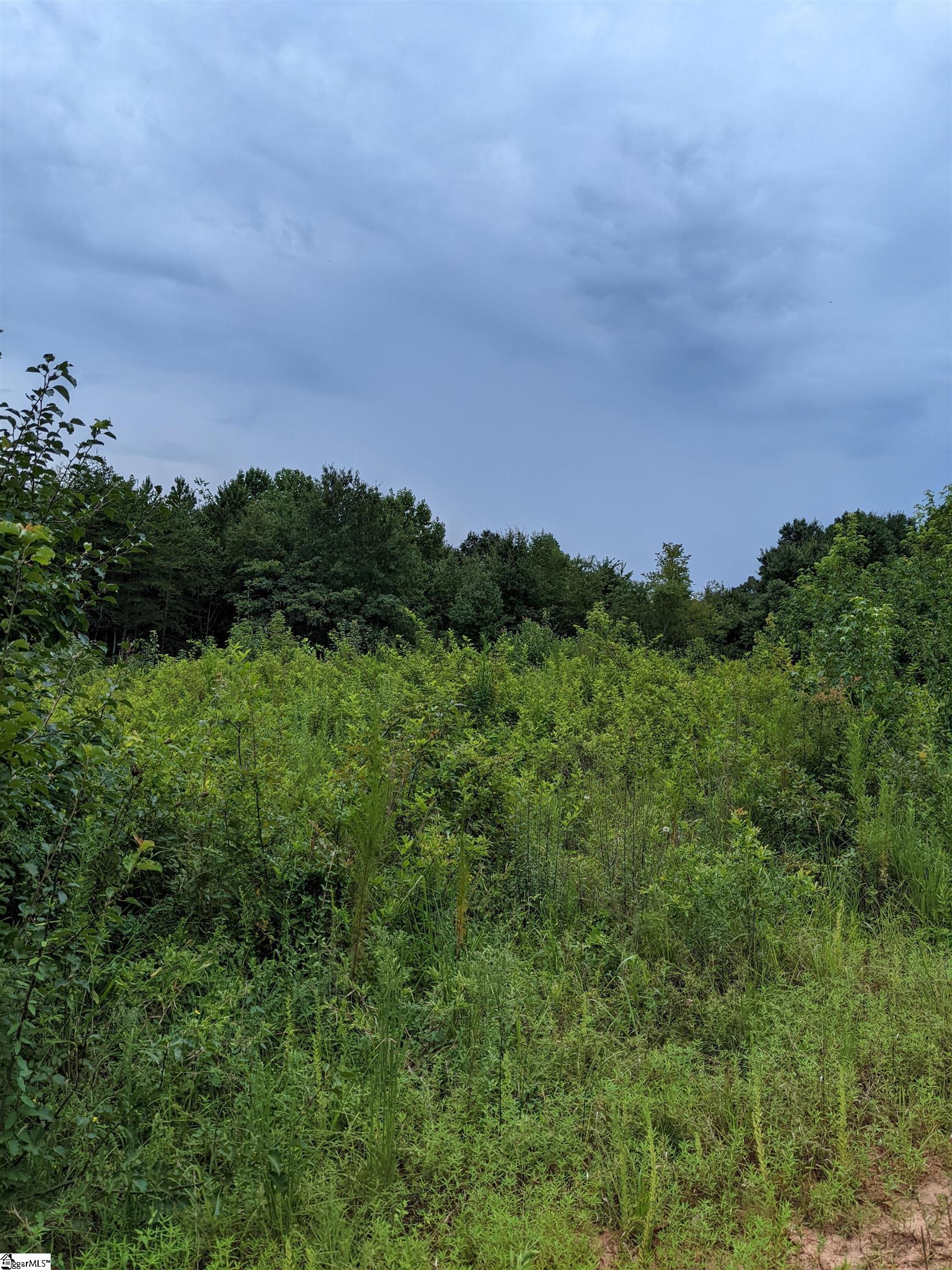 1773 Fews Chapel Road, Greer SC 29651