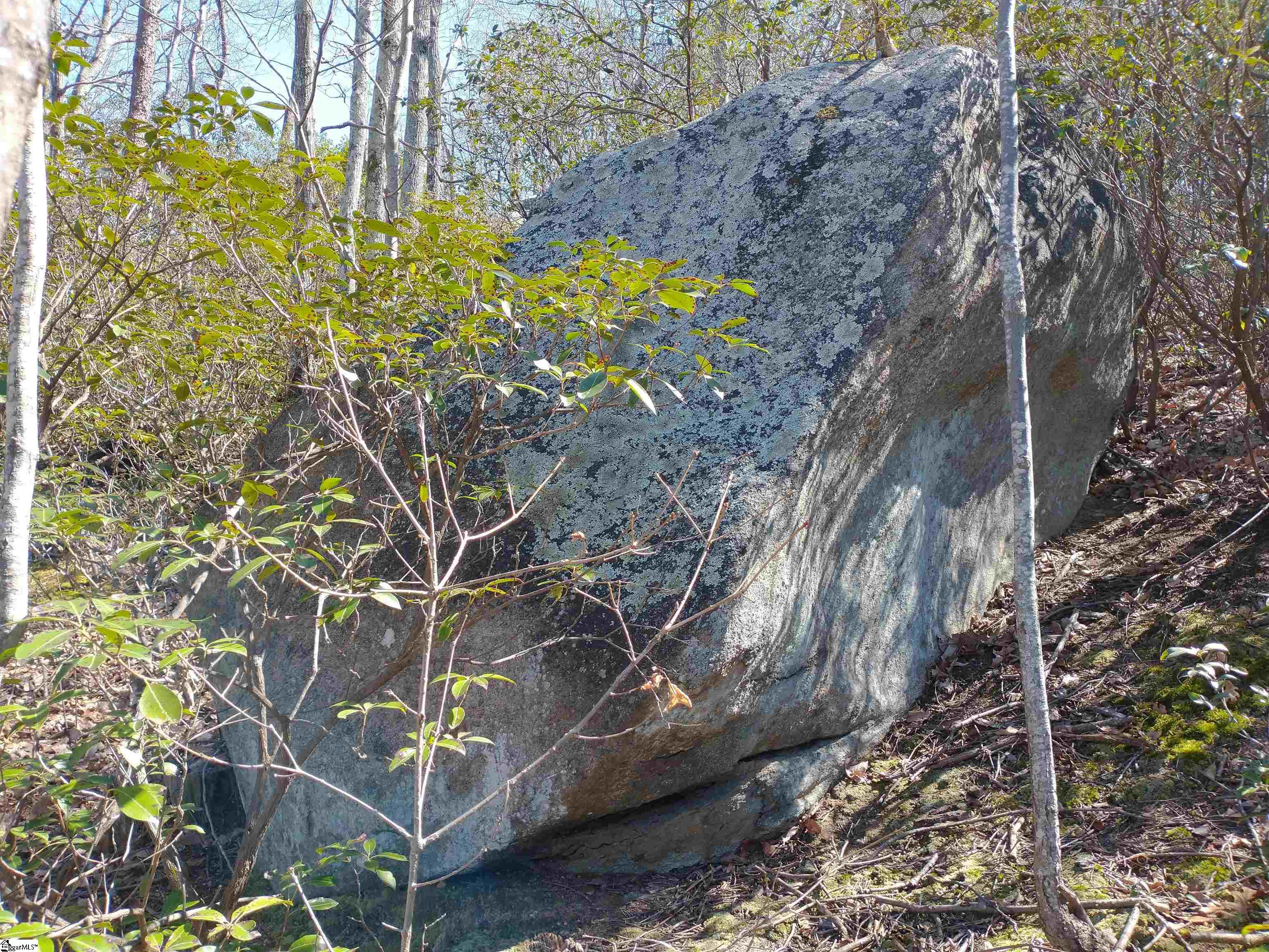 207 Eagle Rock, Landrum, South Carolina image 18