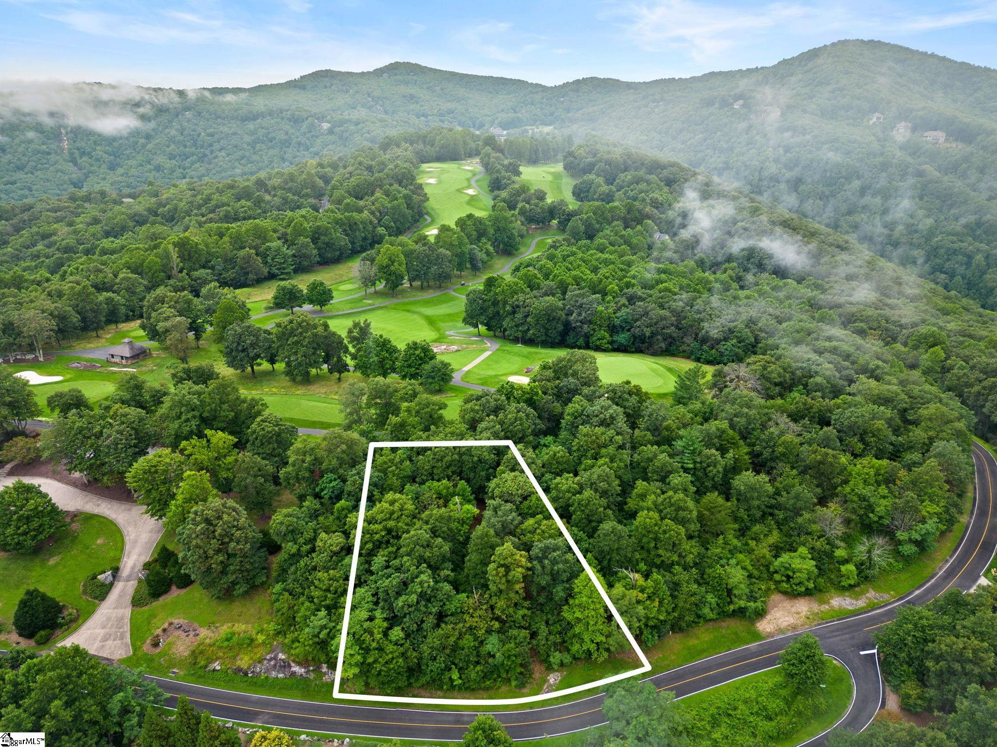 223 May Apple Way, Landrum SC 29356