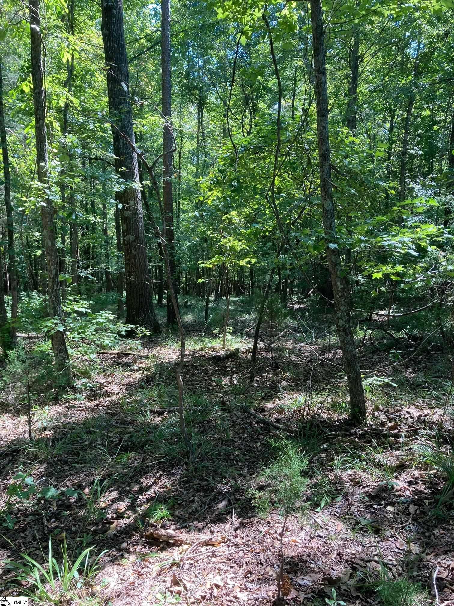 2104-1 Nation Road Hodges, SC 29653