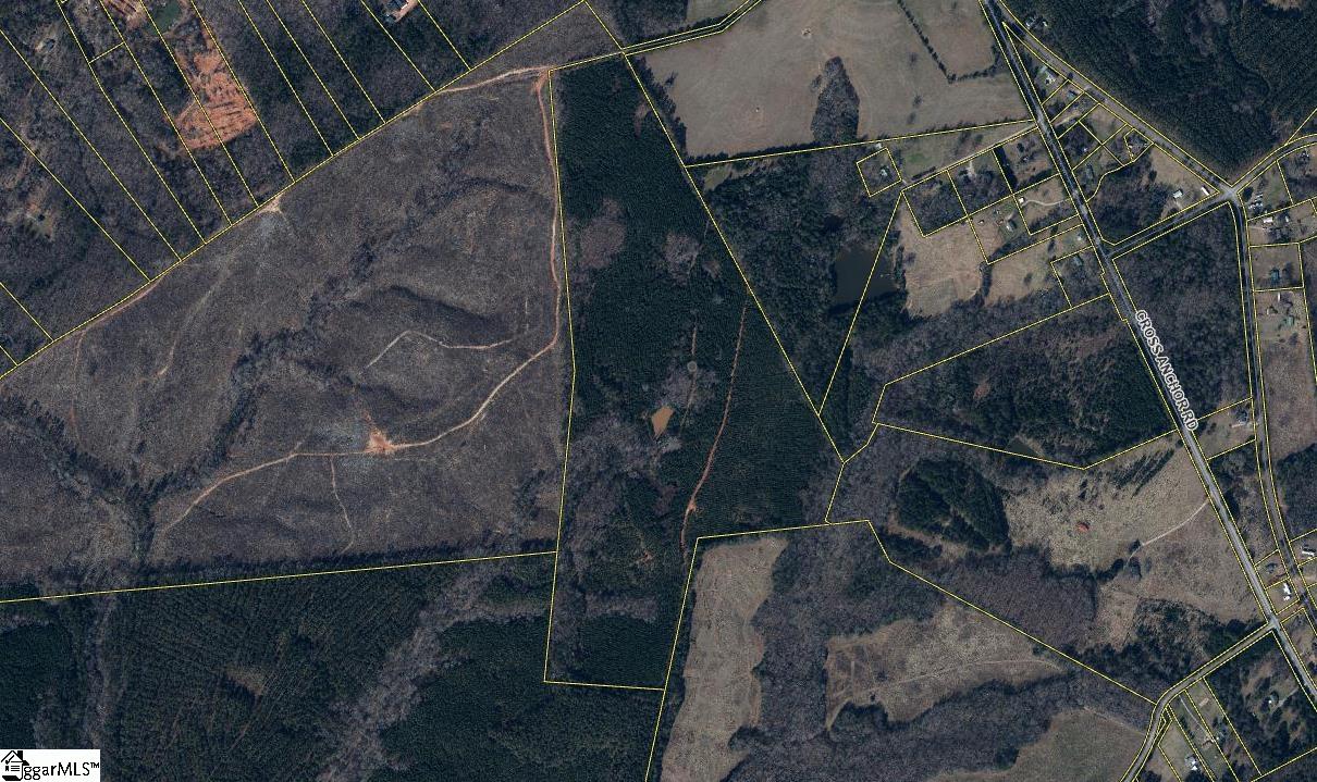 0 Paso Fino Road Lot 1, Enoree SC 29335