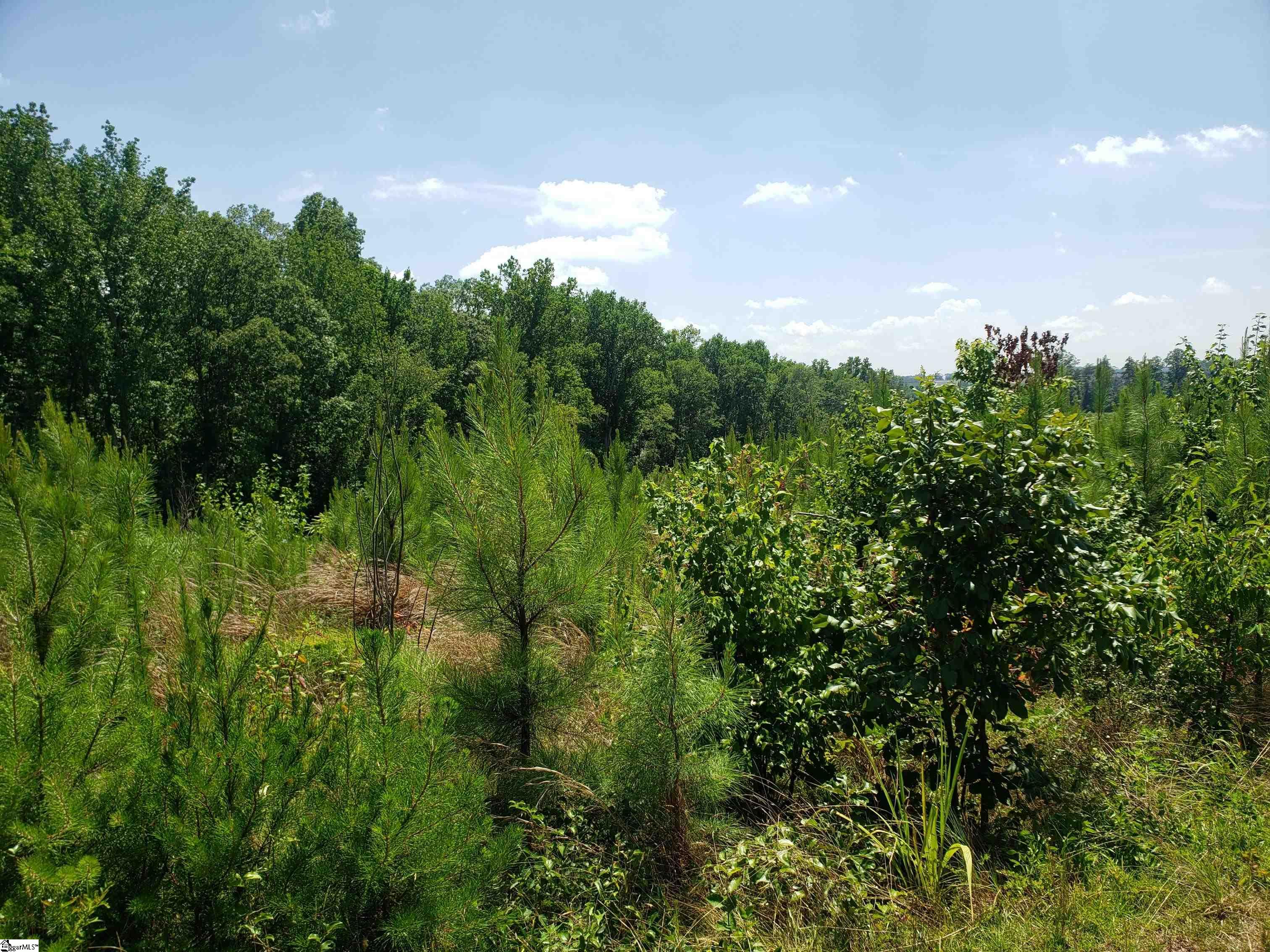 0 Robbins Road, Chesnee SC 29323