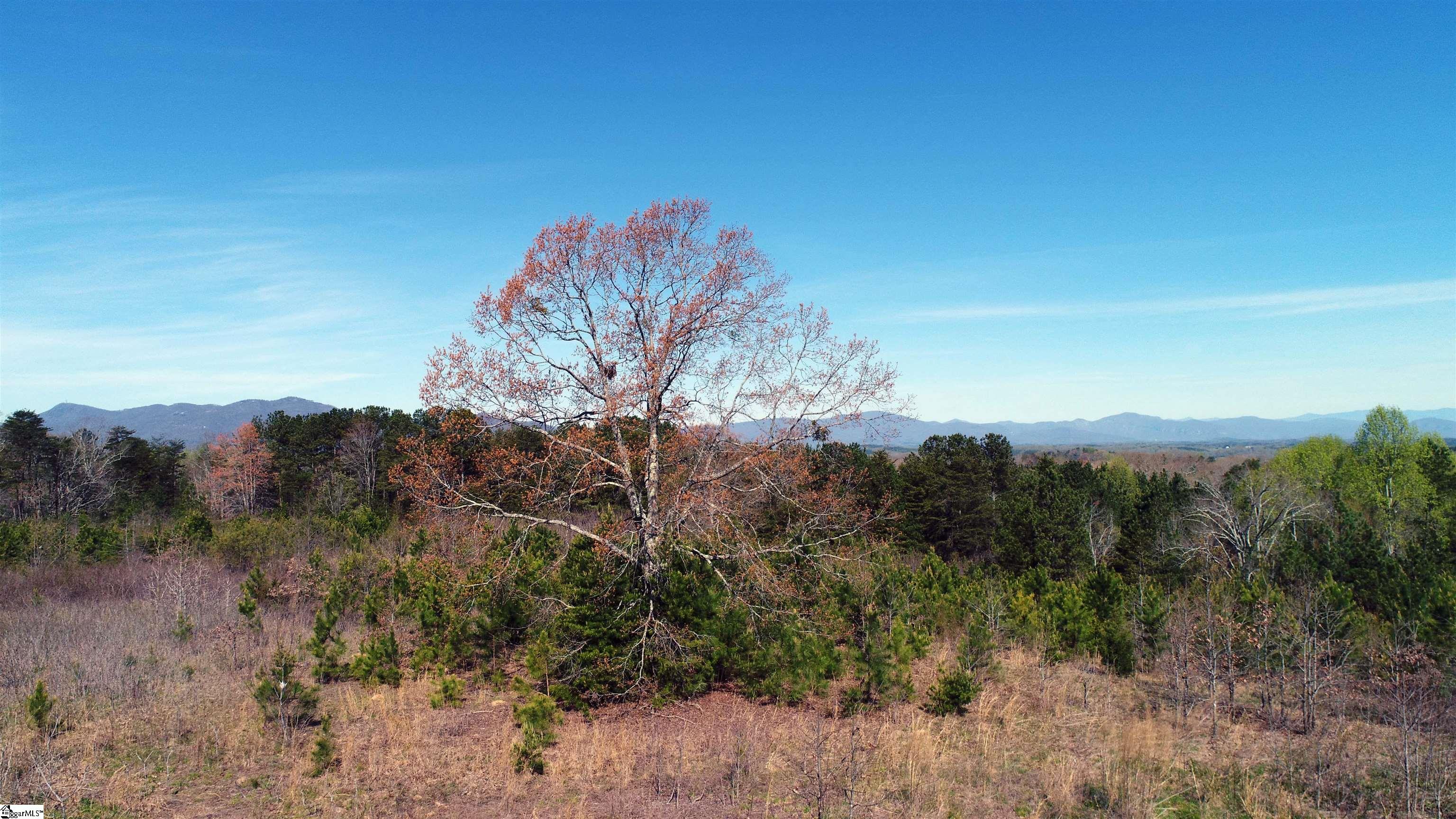 00 Nc 9 Highway South, Tryon, North Carolina image 6