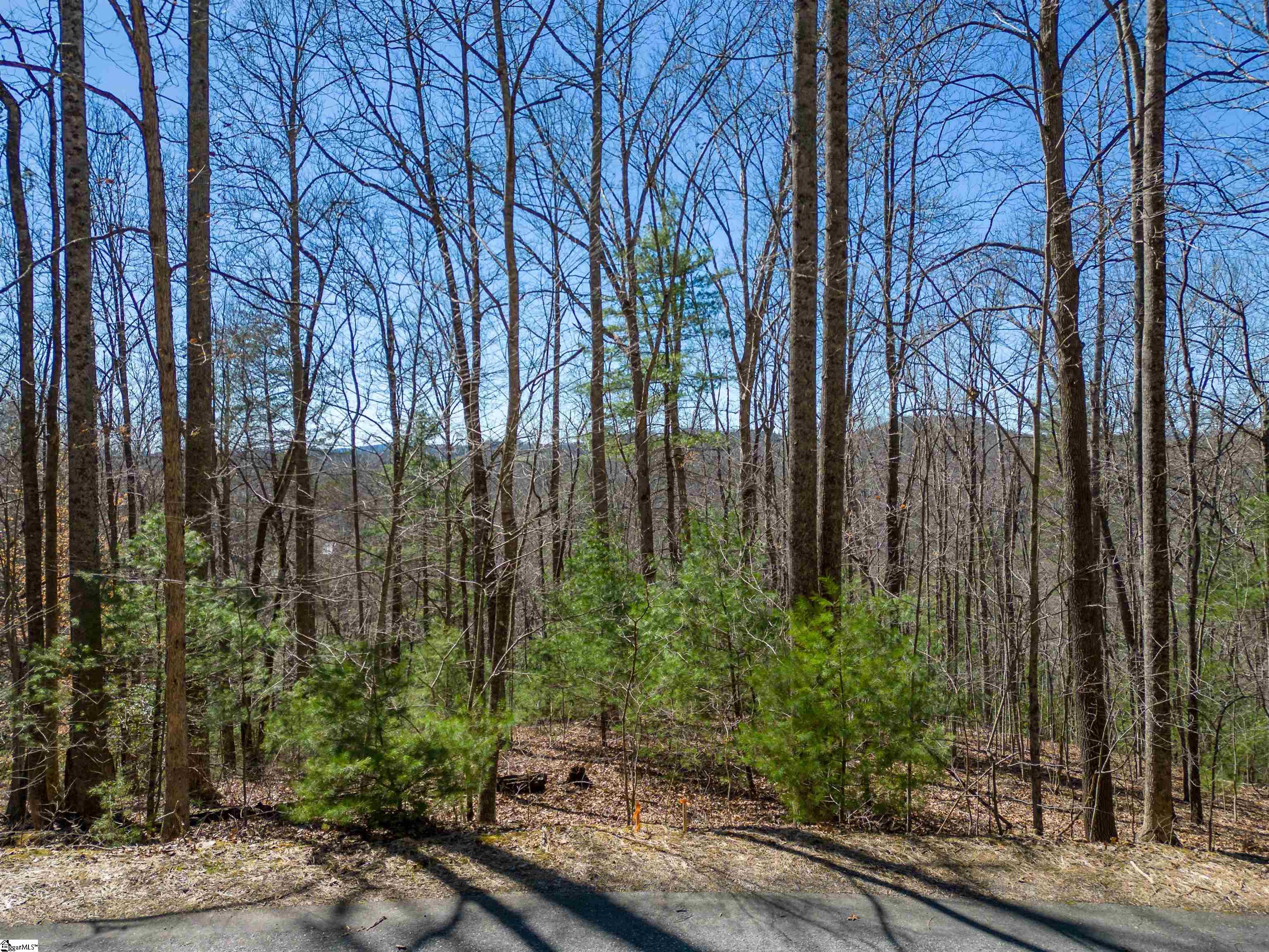 132 Overlook Park Drive, Hendersonville NC 28792-0005