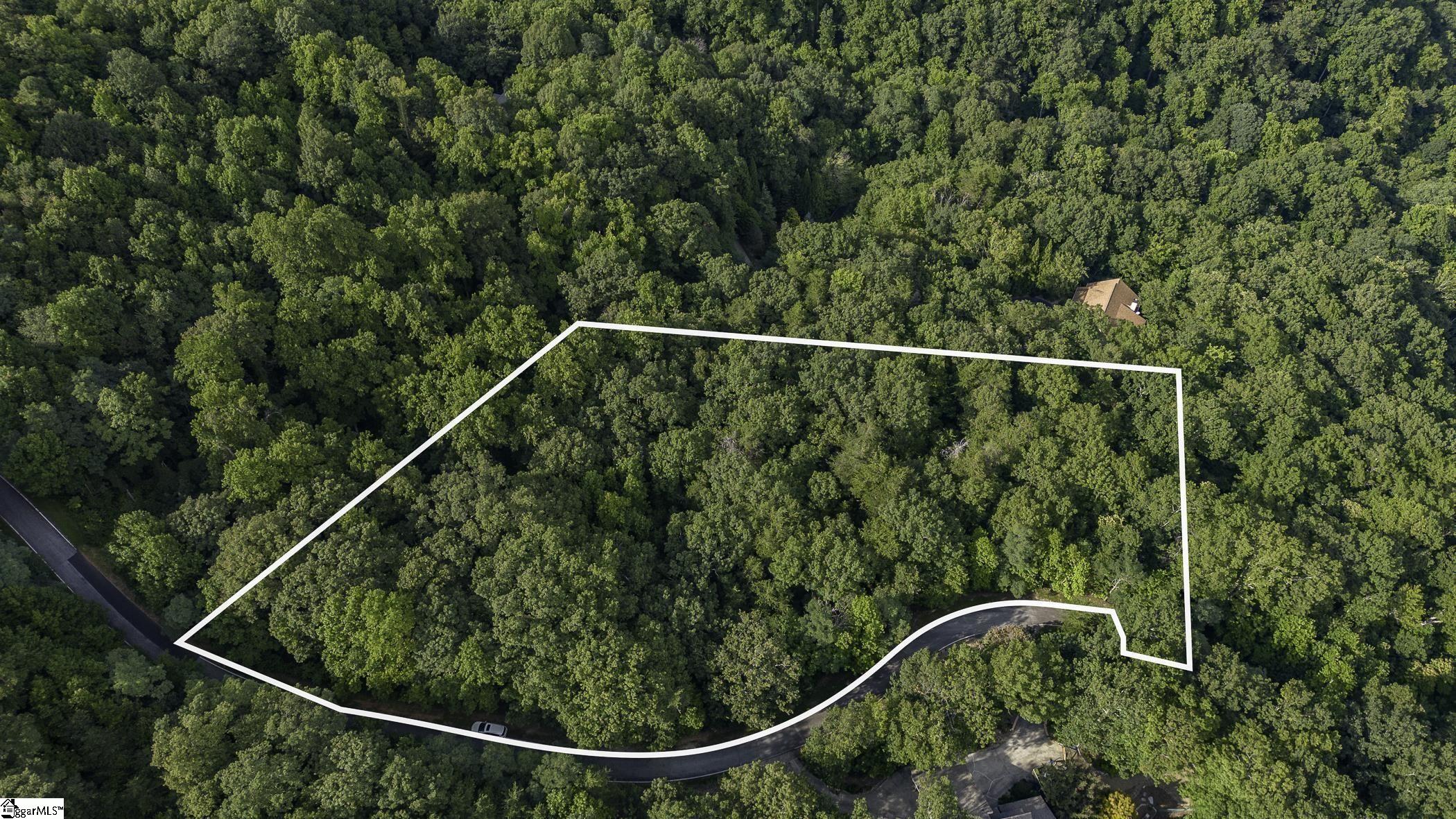 83 Gray Rock Ridge Drive, Landrum SC 29356