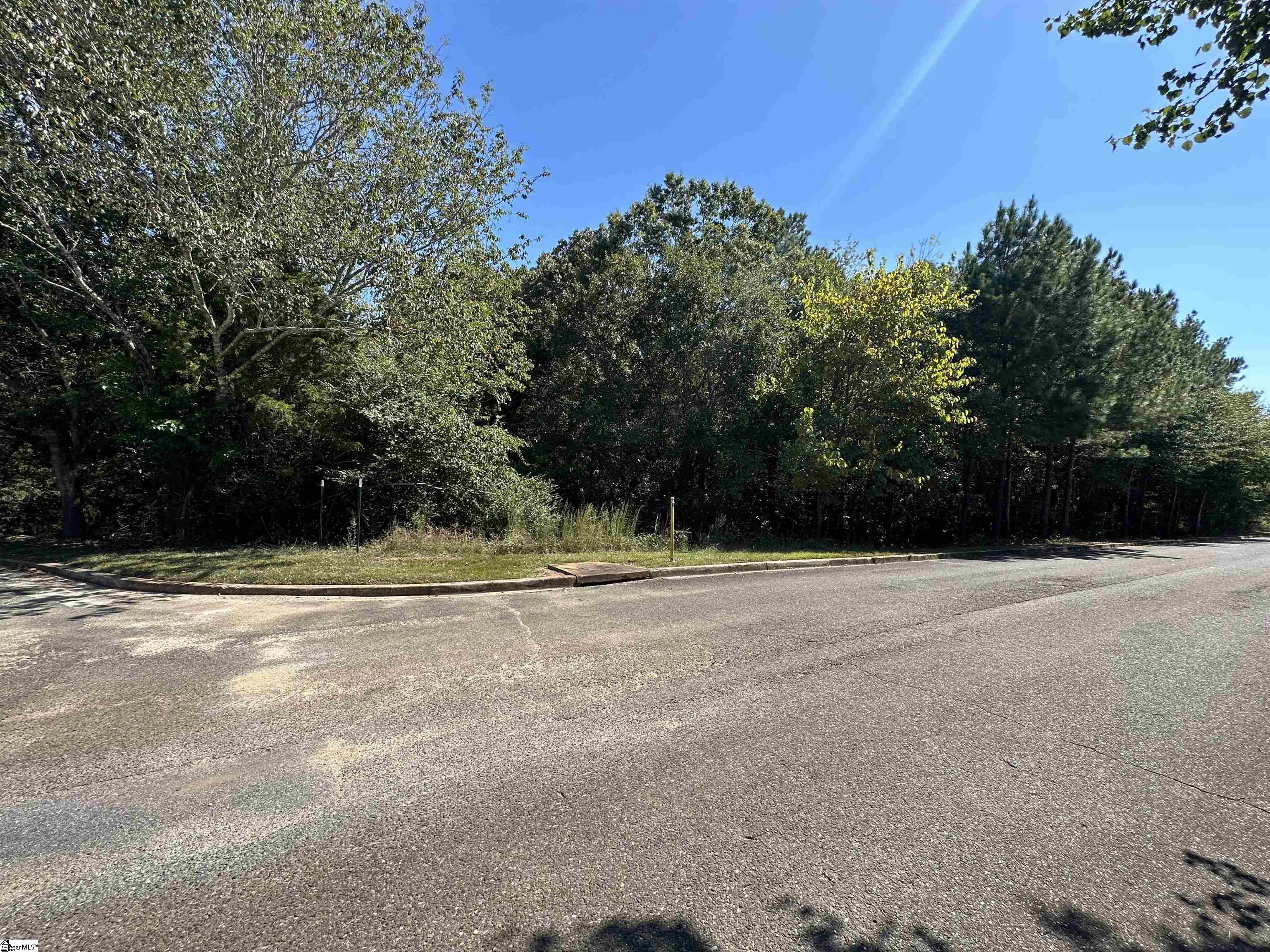 0 Peachview Boulevard, Gaffney SC 29341
