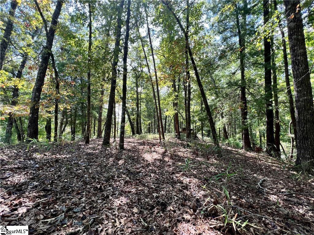 404 Ginseng Drive, Sunset SC 29685