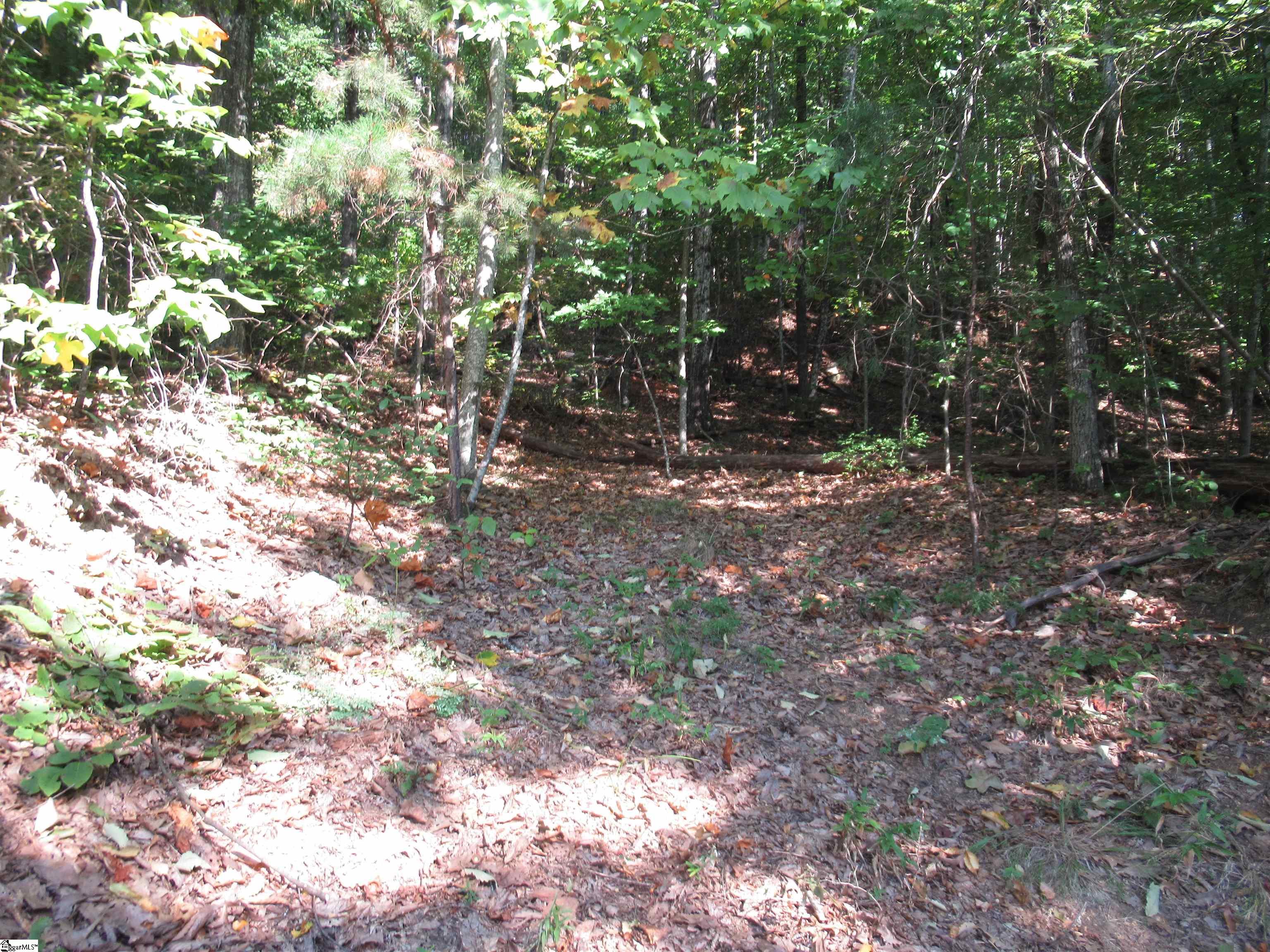 00 Curts Way, Cleveland SC 29635