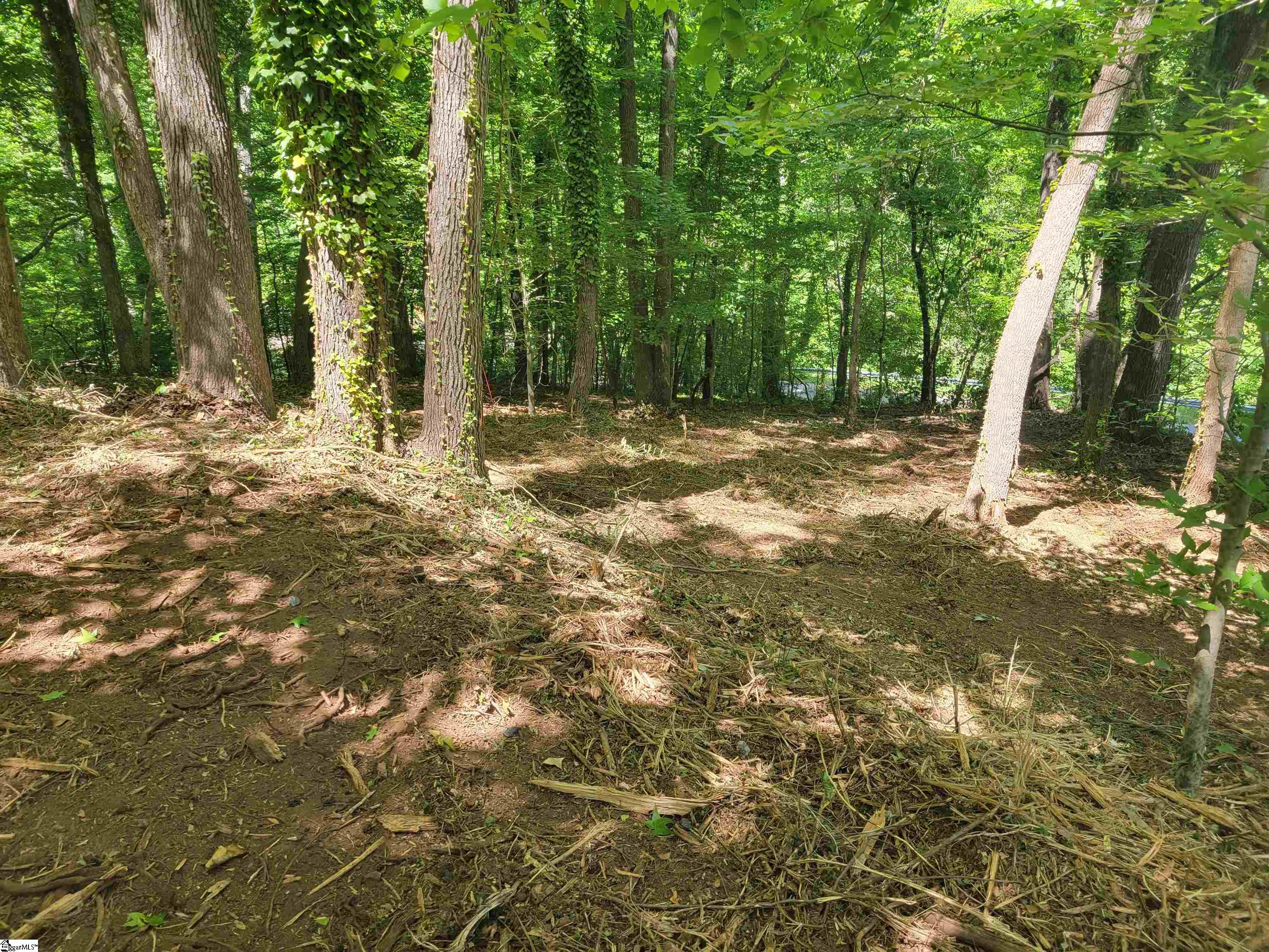 Koswell, Greenville, South Carolina image 11