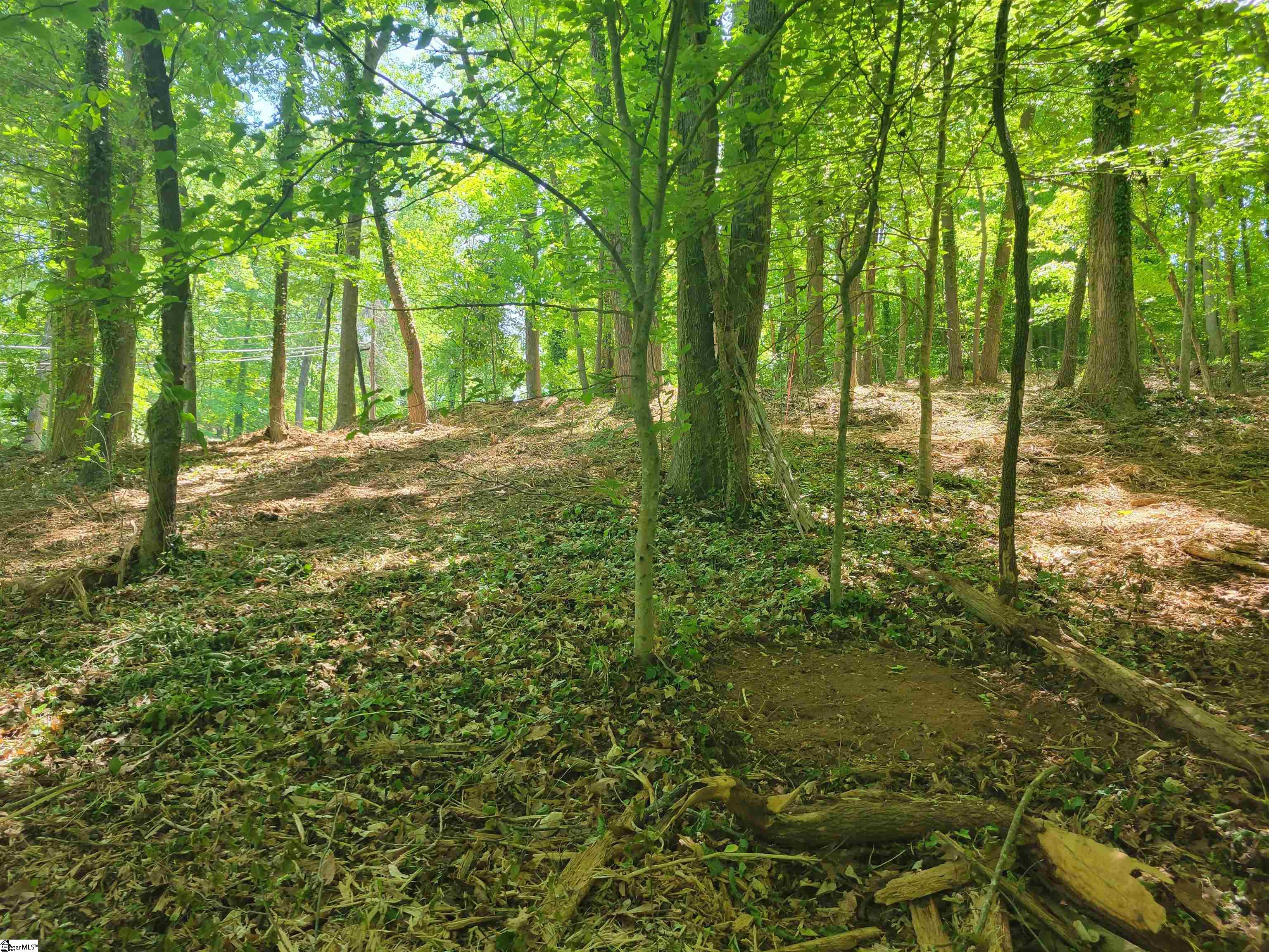 Koswell, Greenville, South Carolina image 12