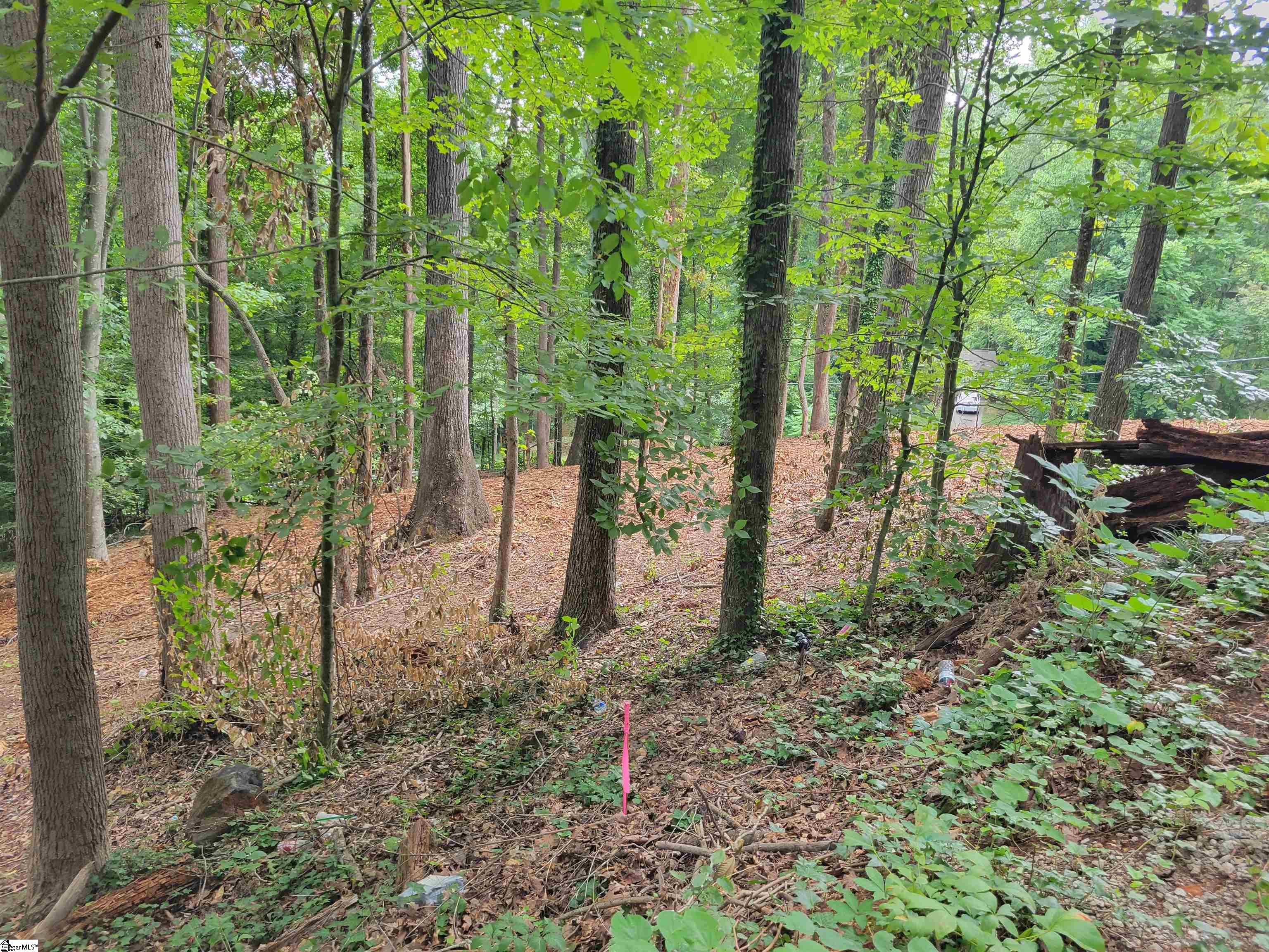 Koswell, Greenville, South Carolina image 18