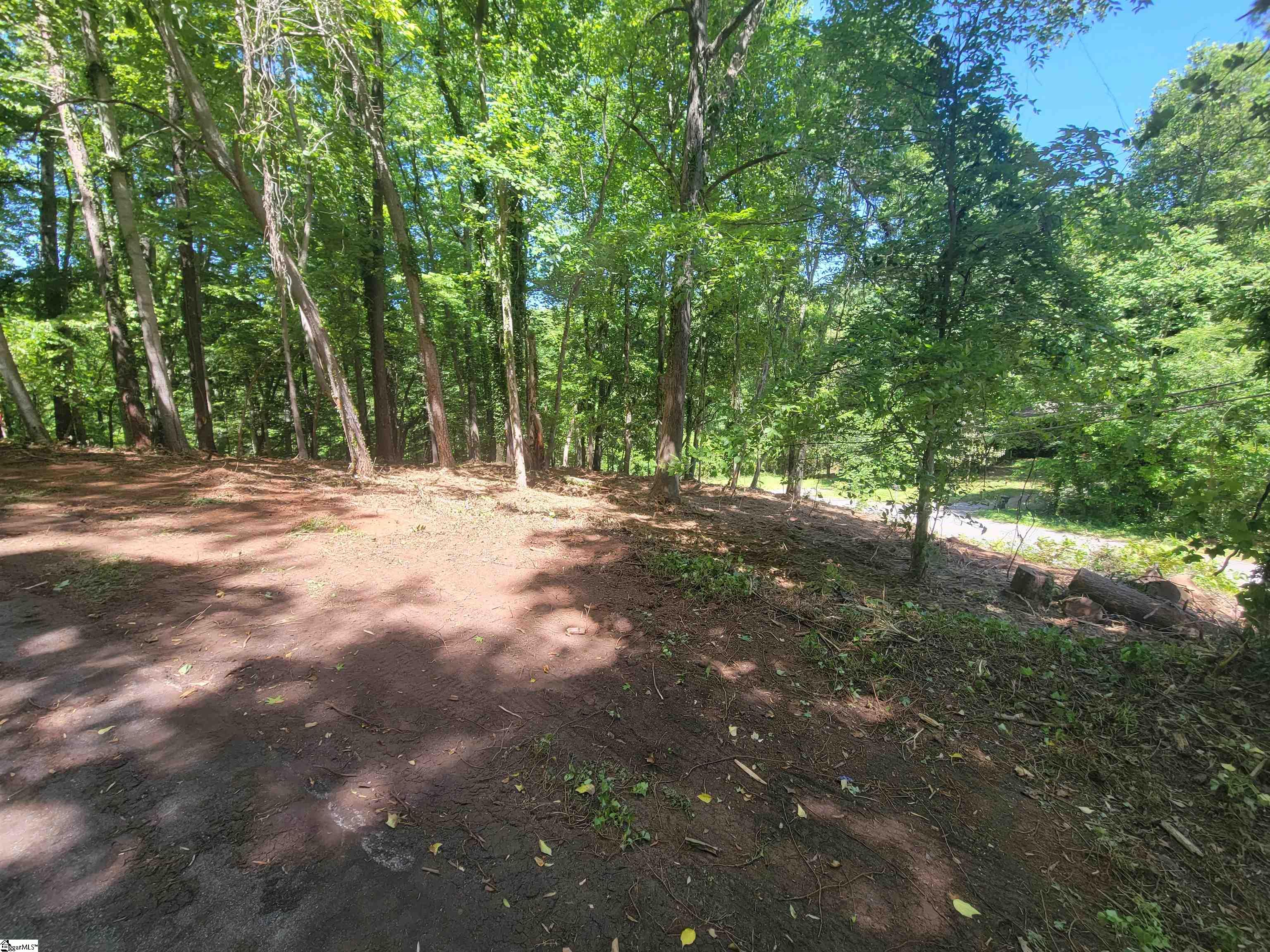 Koswell, Greenville, South Carolina image 4