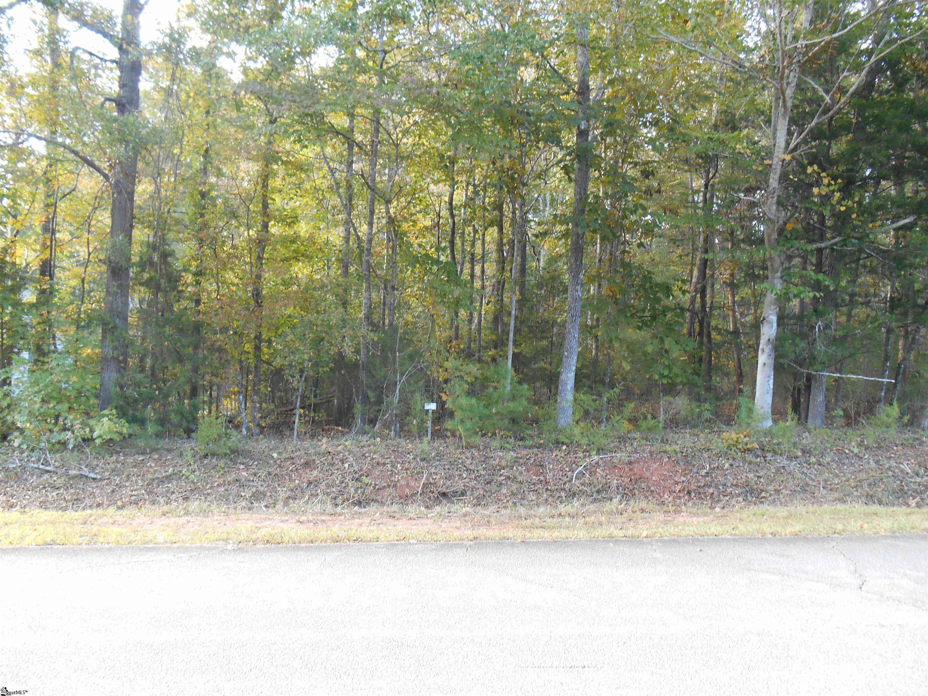 0 W Peninsula Drive, Laurens SC 29360-9999