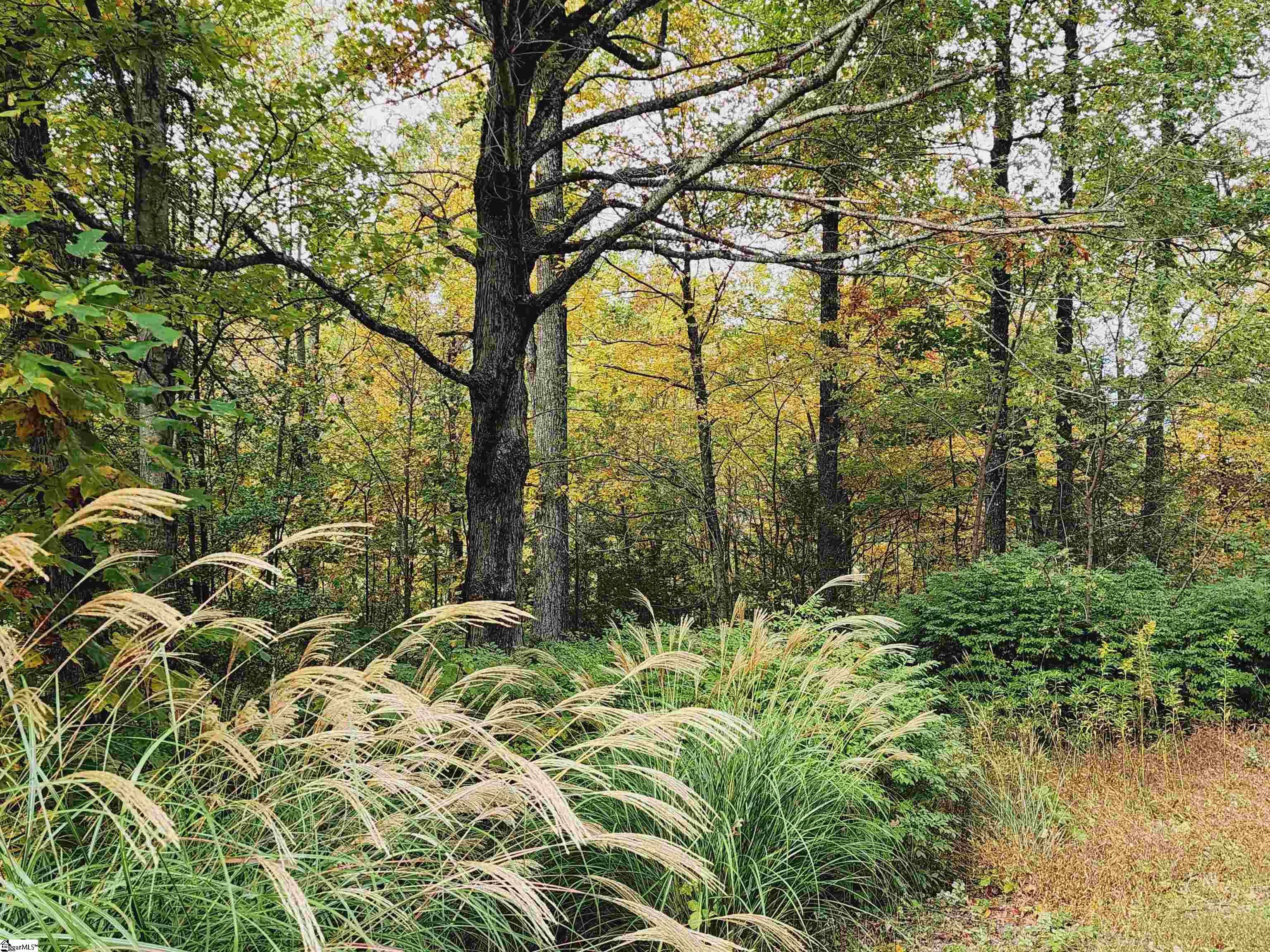 0 Glassy Ridge Road Lot 8, Landrum SC 29356-2935