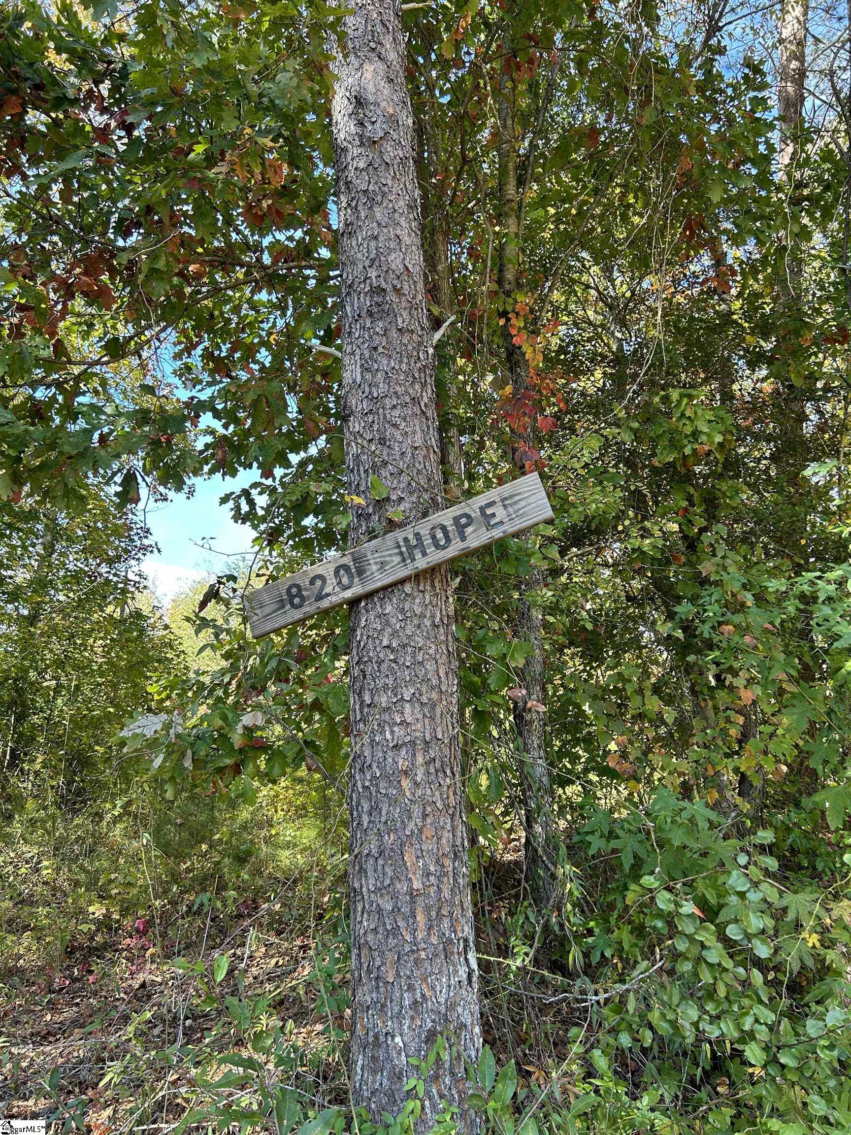 820 W Hope Street, Greenville SC 29611