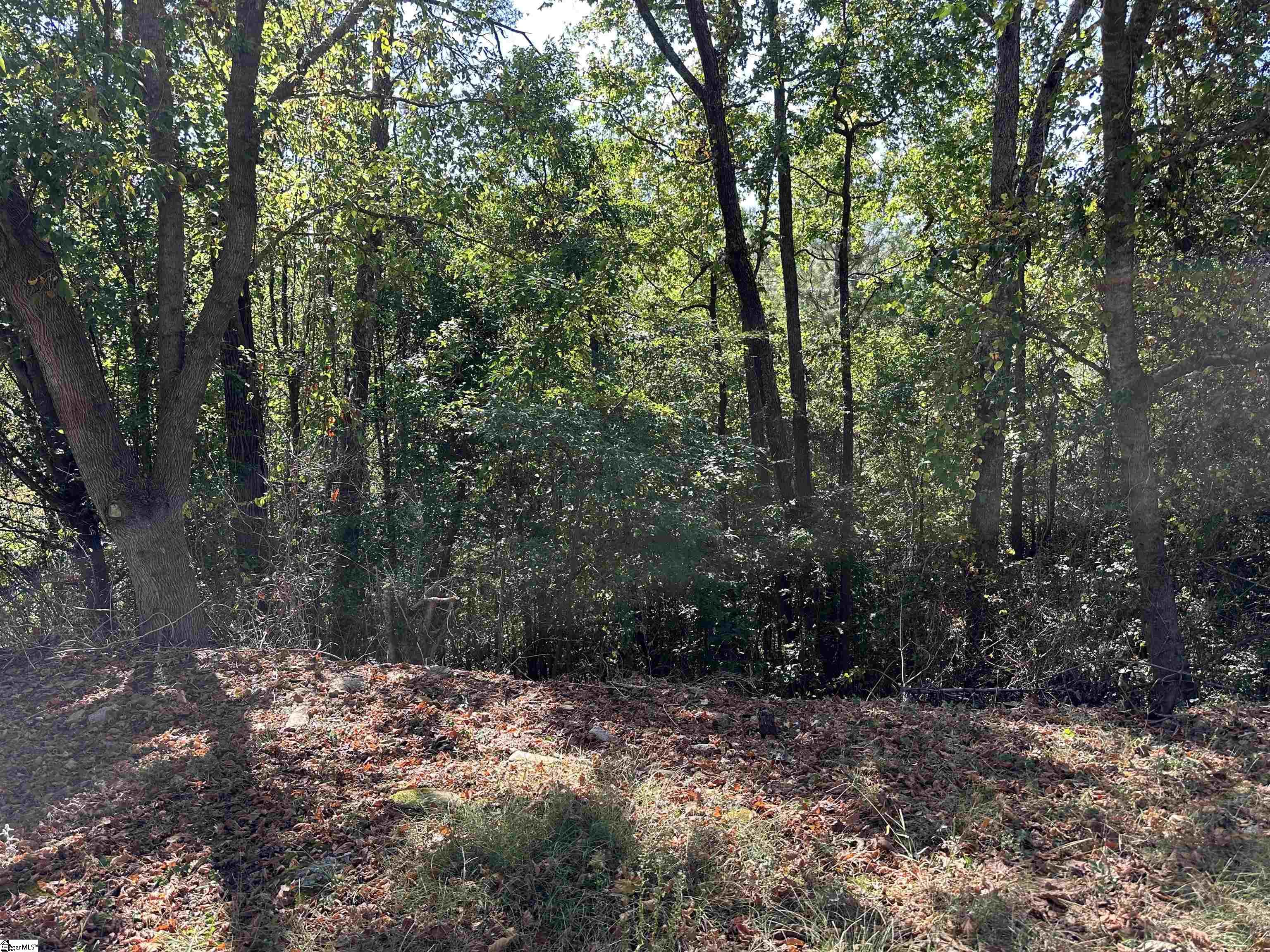 132 Robin Ridge Circle Piedmont, SC 29673