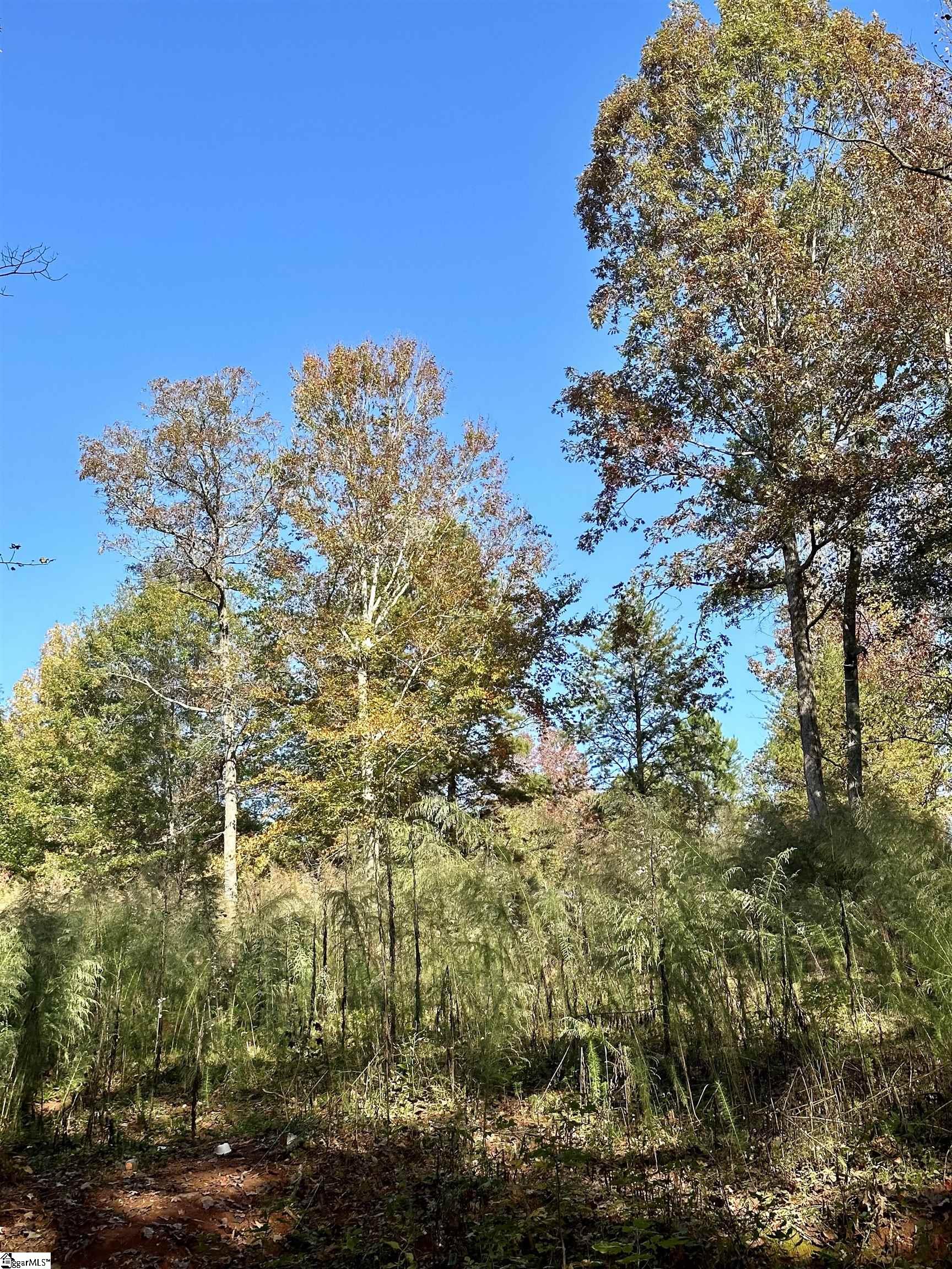 190 Blackberry Valley Road, Greenville SC 29617