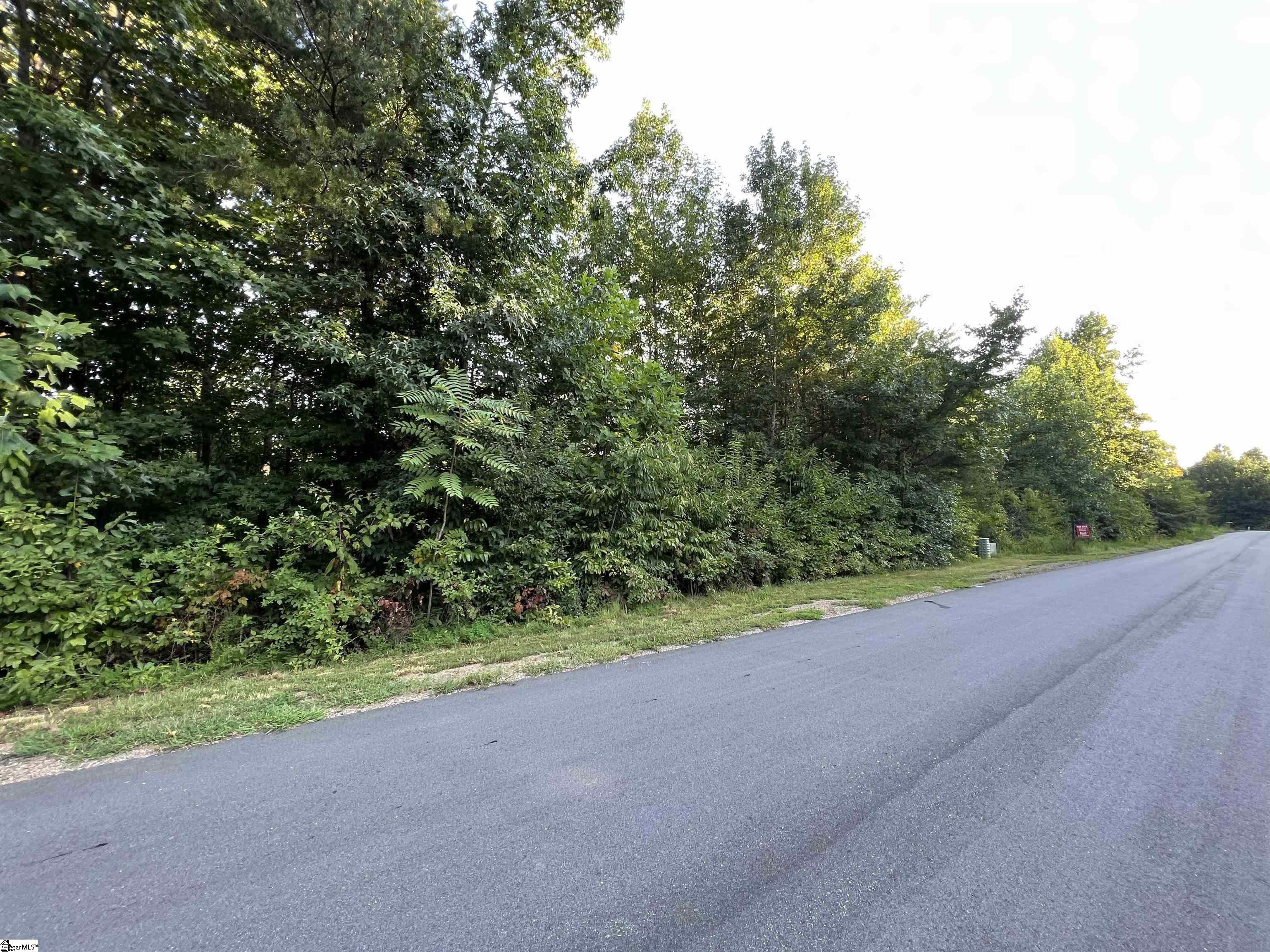 44 Packforest Road, Taylors SC 29687
