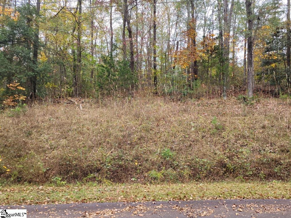 214 Cannon Lane, Woodruff SC 29388